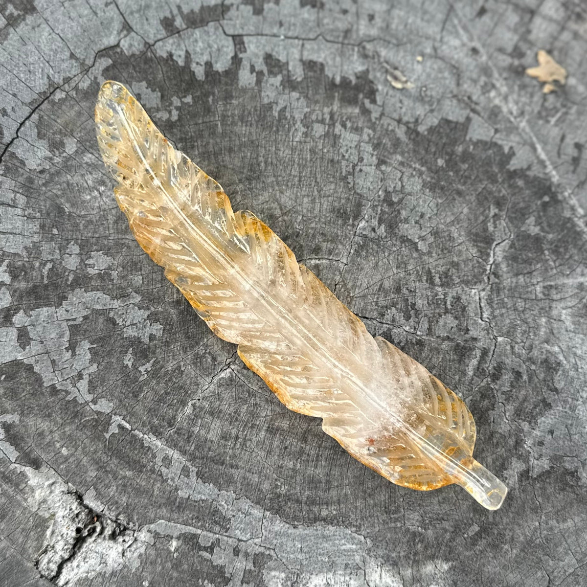 Golden Healer Feather Carving
