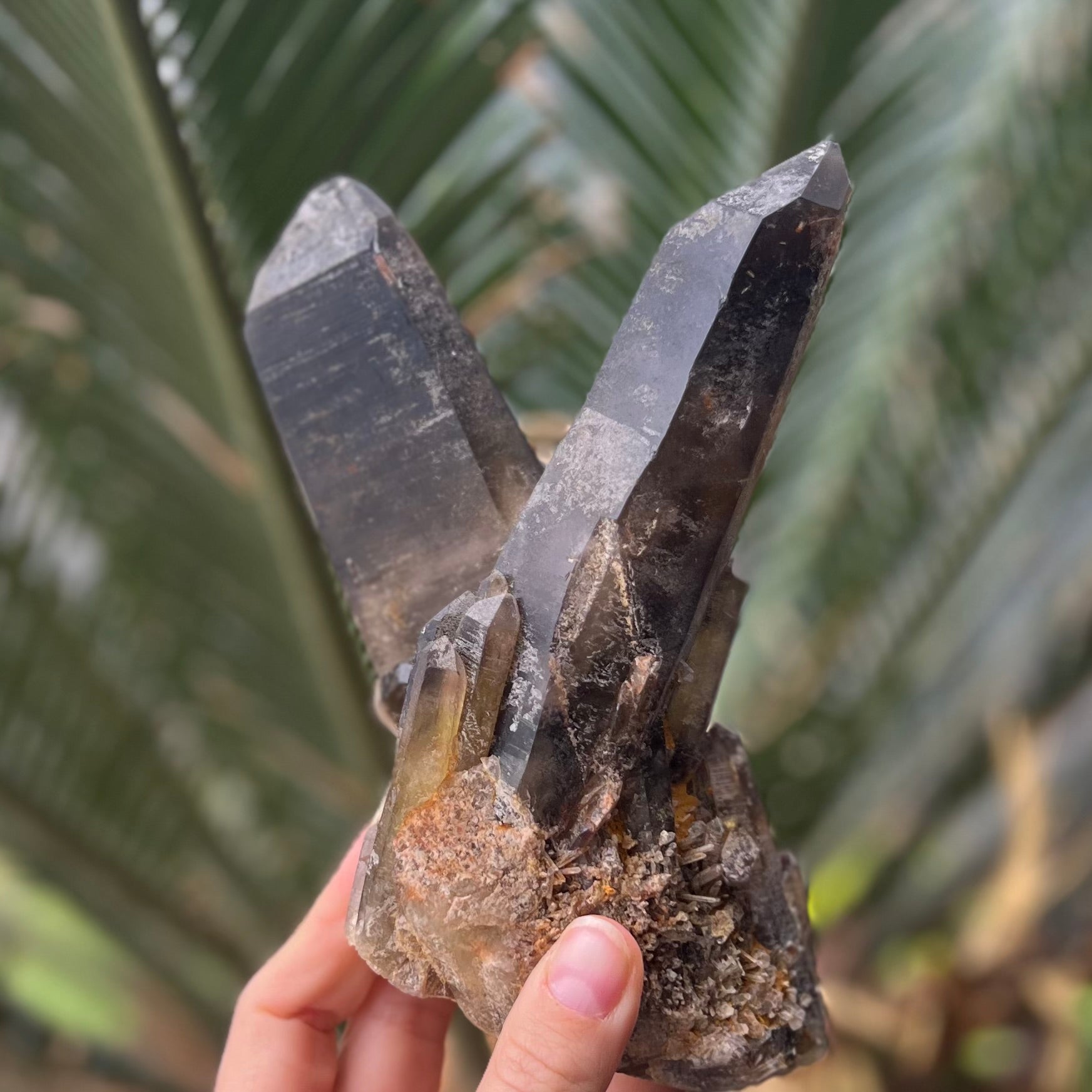 Smoky Quartz ~ Natural Double Point