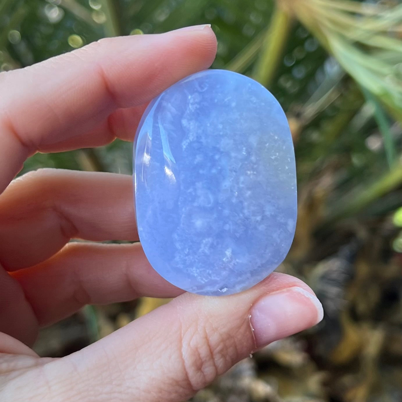 Blue Lace Agate ~ Specialty Boxed Crystal