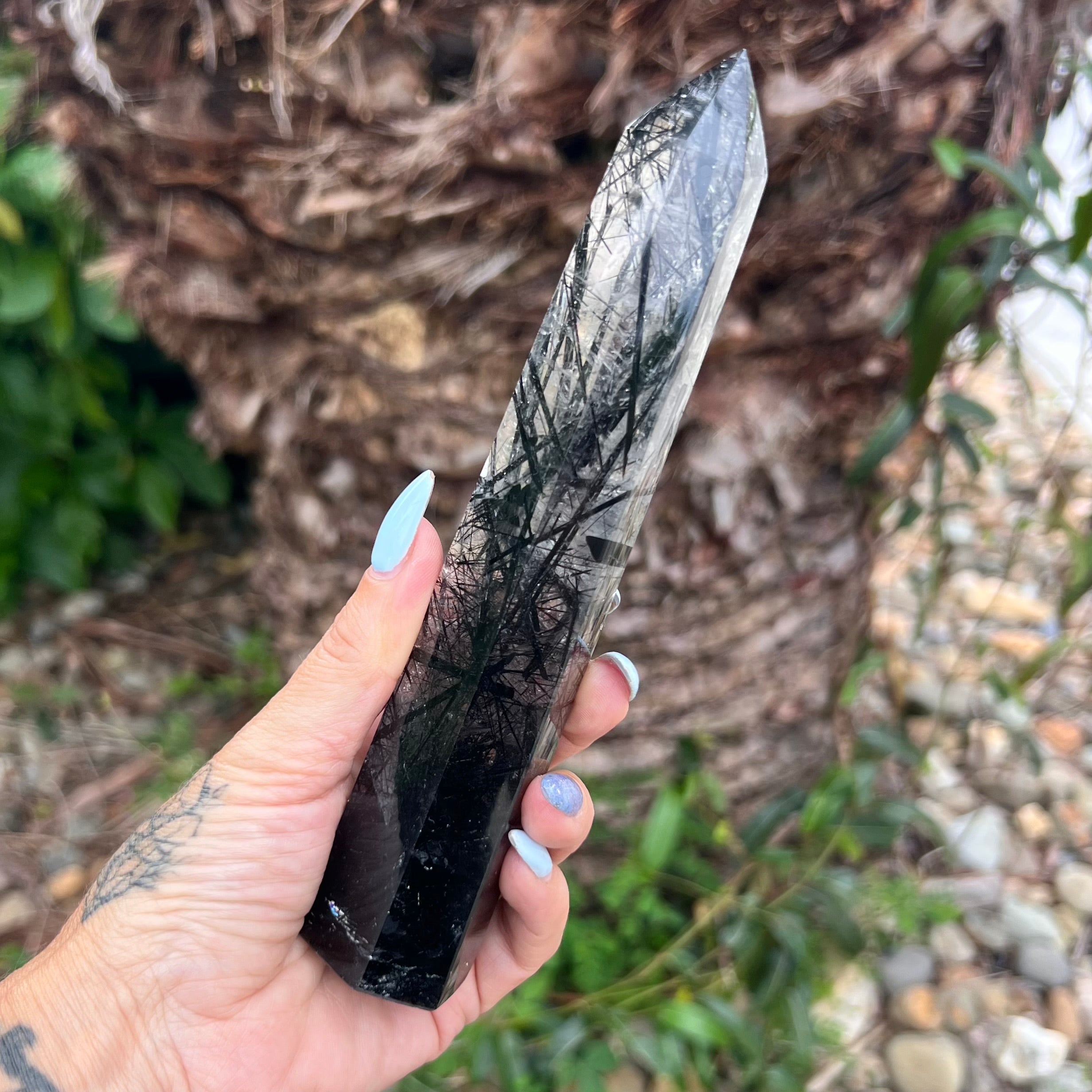 Black Tourmaline in Clear Protective Generator Quartz Tower