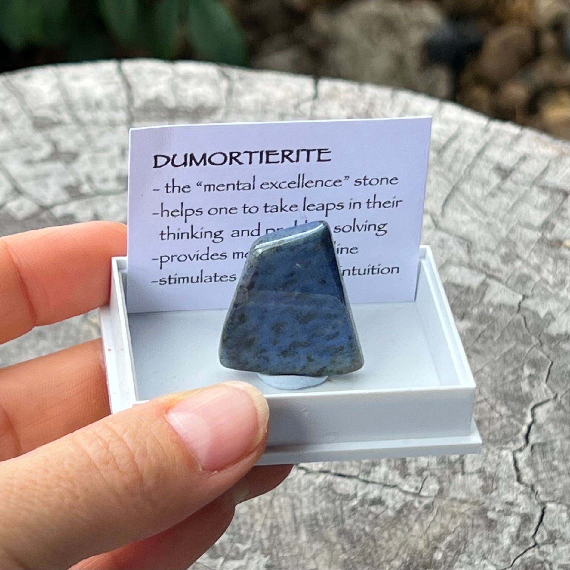 Dumortierite ~ Specialty Boxed Crystal