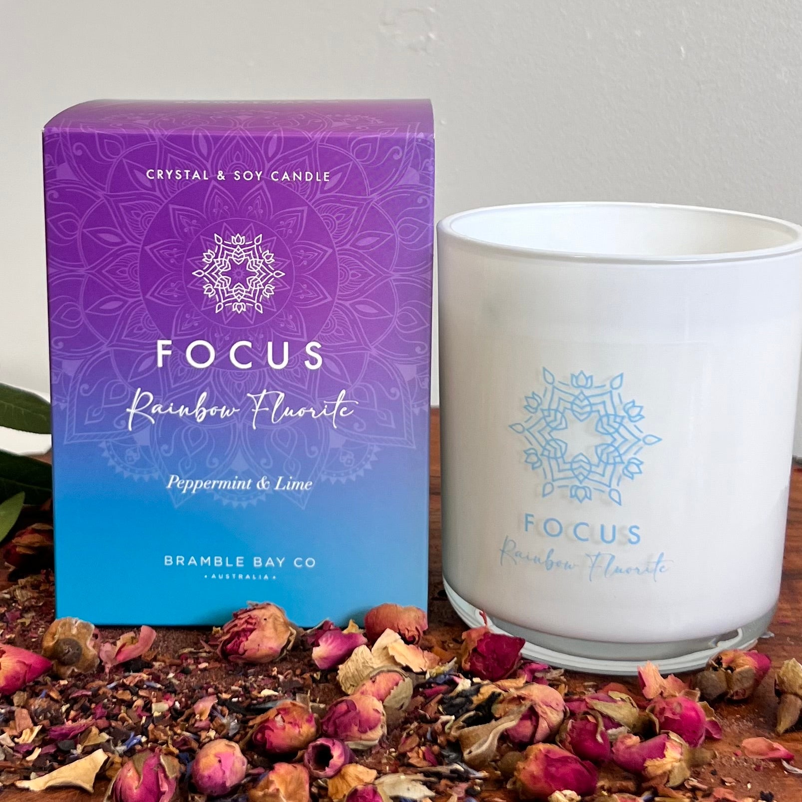 Boho Crystal Focus Candle ~
Rainbow Fluorite ~ 
Peppermint & Lime