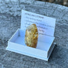 African Citrine ~ Specialty Boxed Crystal