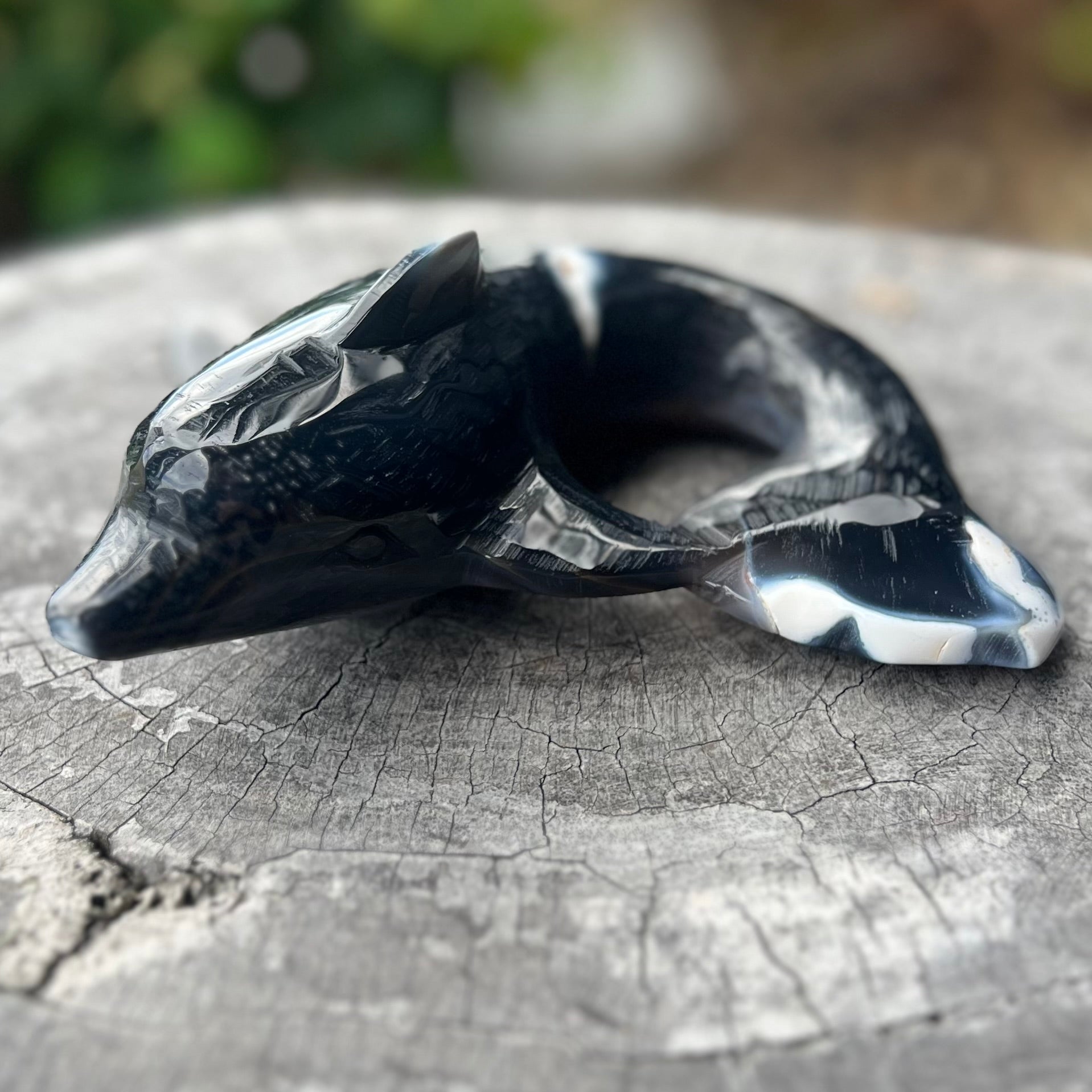 Agate Dolphin Carving