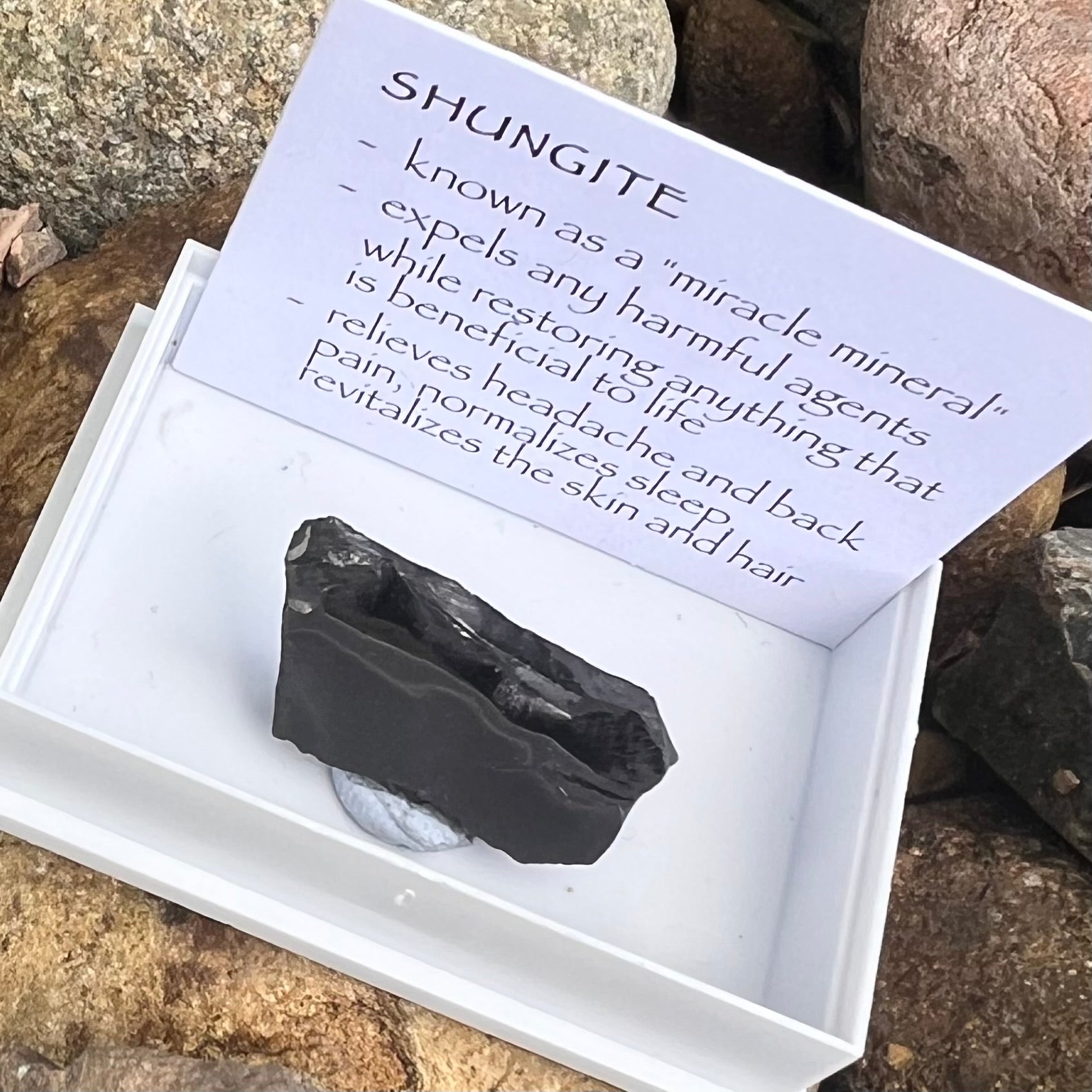 Noble Shungite ~ Specialty Boxed Crystal