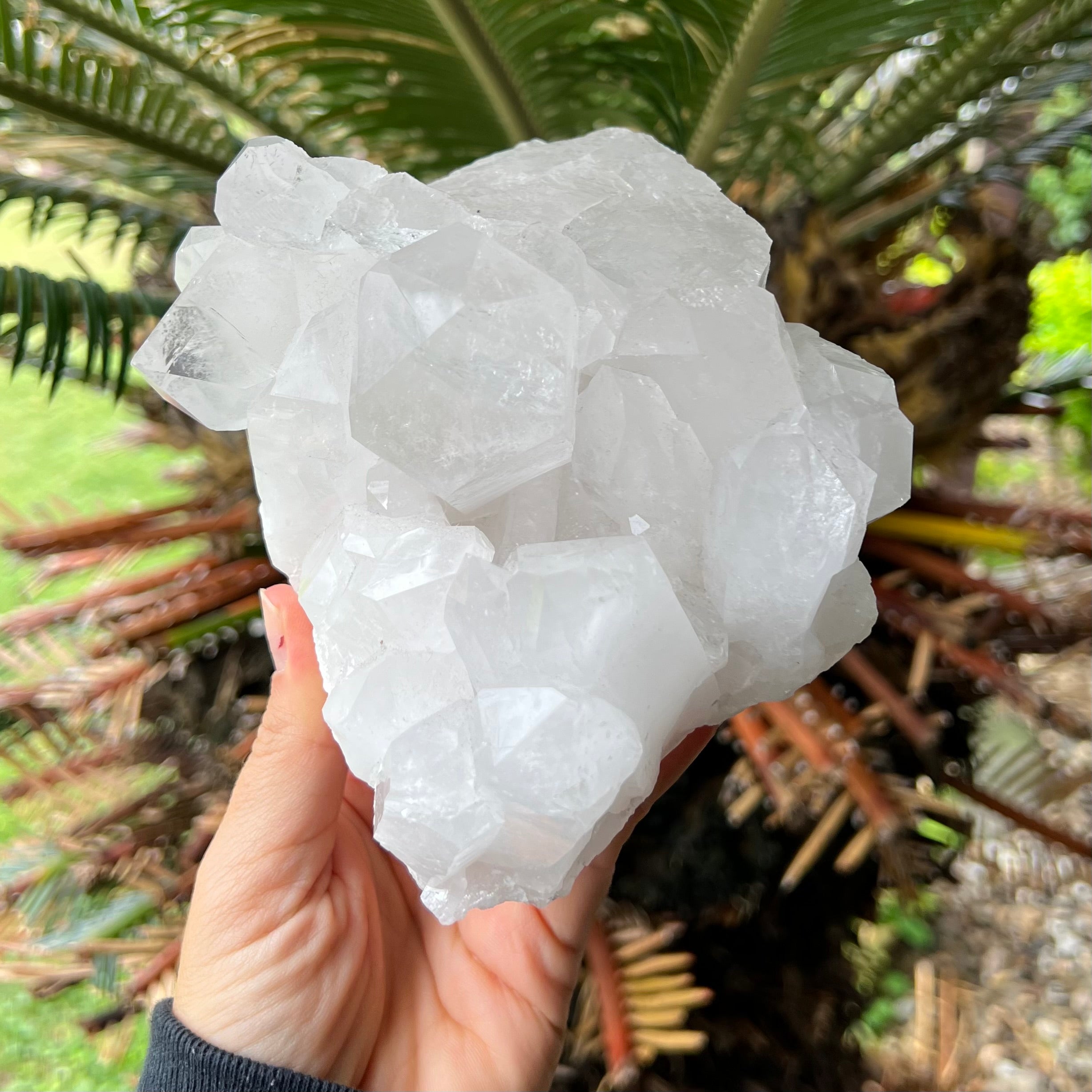Clear Quartz Cluster
