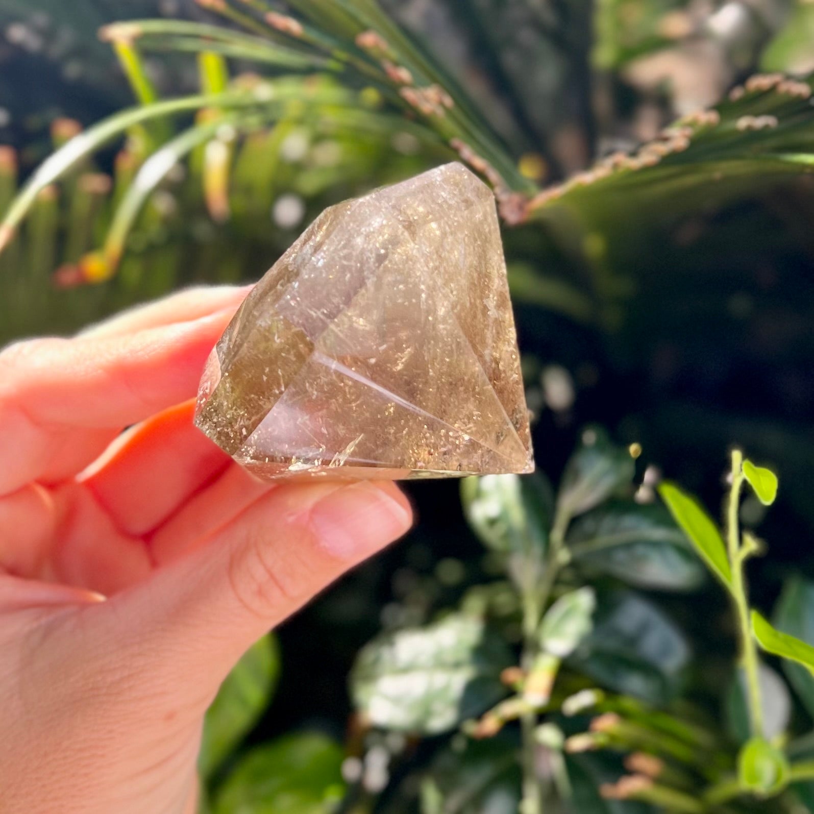 Citrine Diamond Cut ~ Specialty Crystal