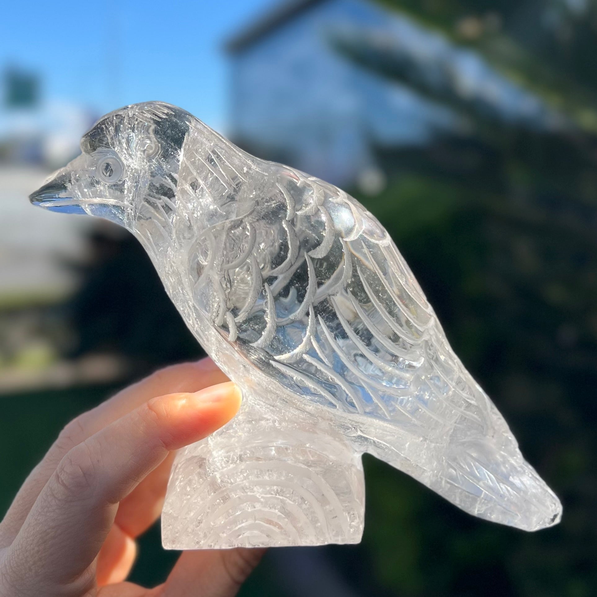 Raven Carving ~ Clear Quartz