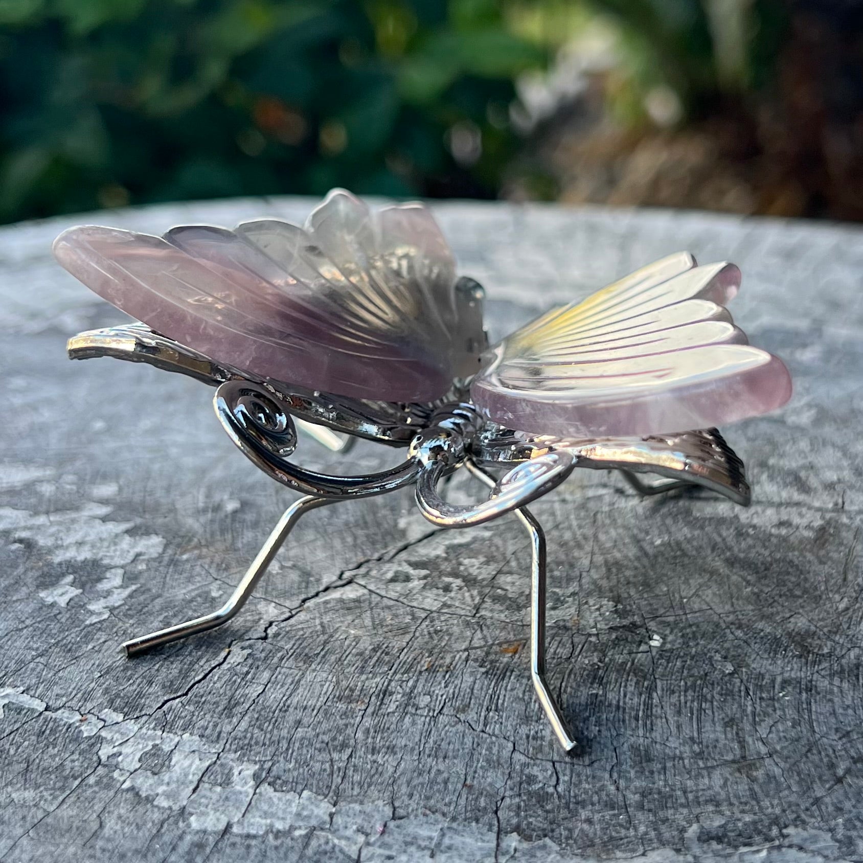Rainbow Fluorite Butterfly