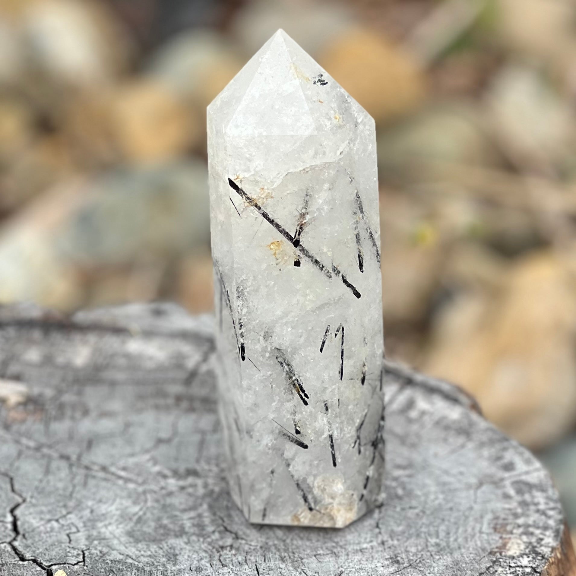 Black Tourmaline in Clear Protective Generator Quartz Tower