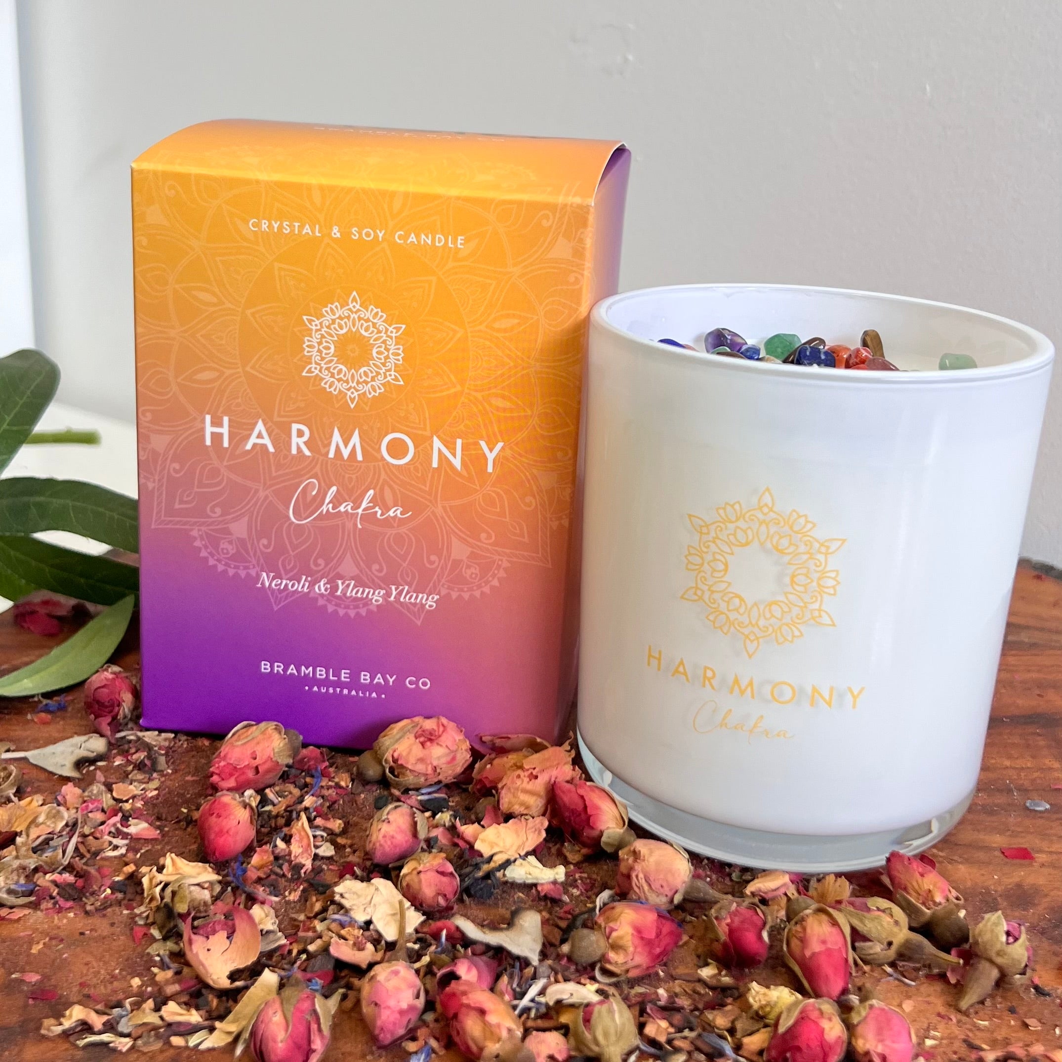 Boho Crystal Harmony Candle ~ Chakra ~
Neroli & Ylang Ylang