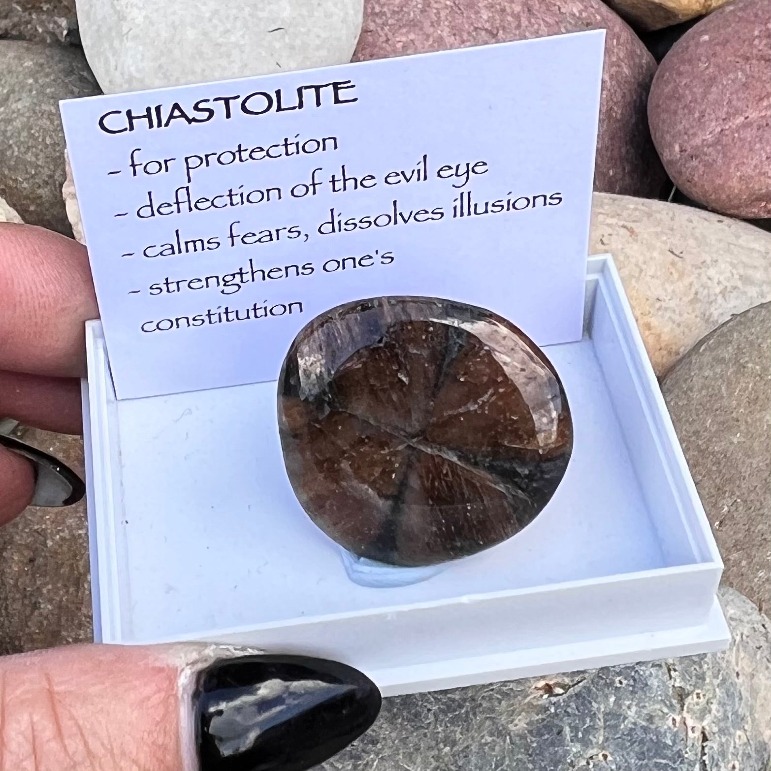 Chiastolite ~ Specialty Boxed Crystal