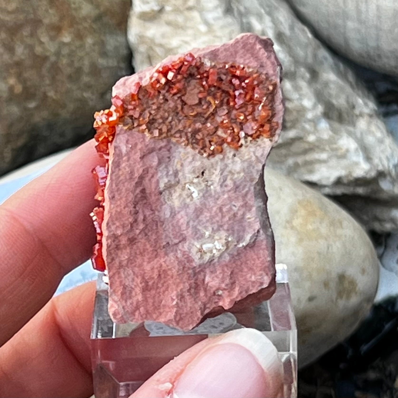 Vanadinite  ~ Specialty Boxed Crystal