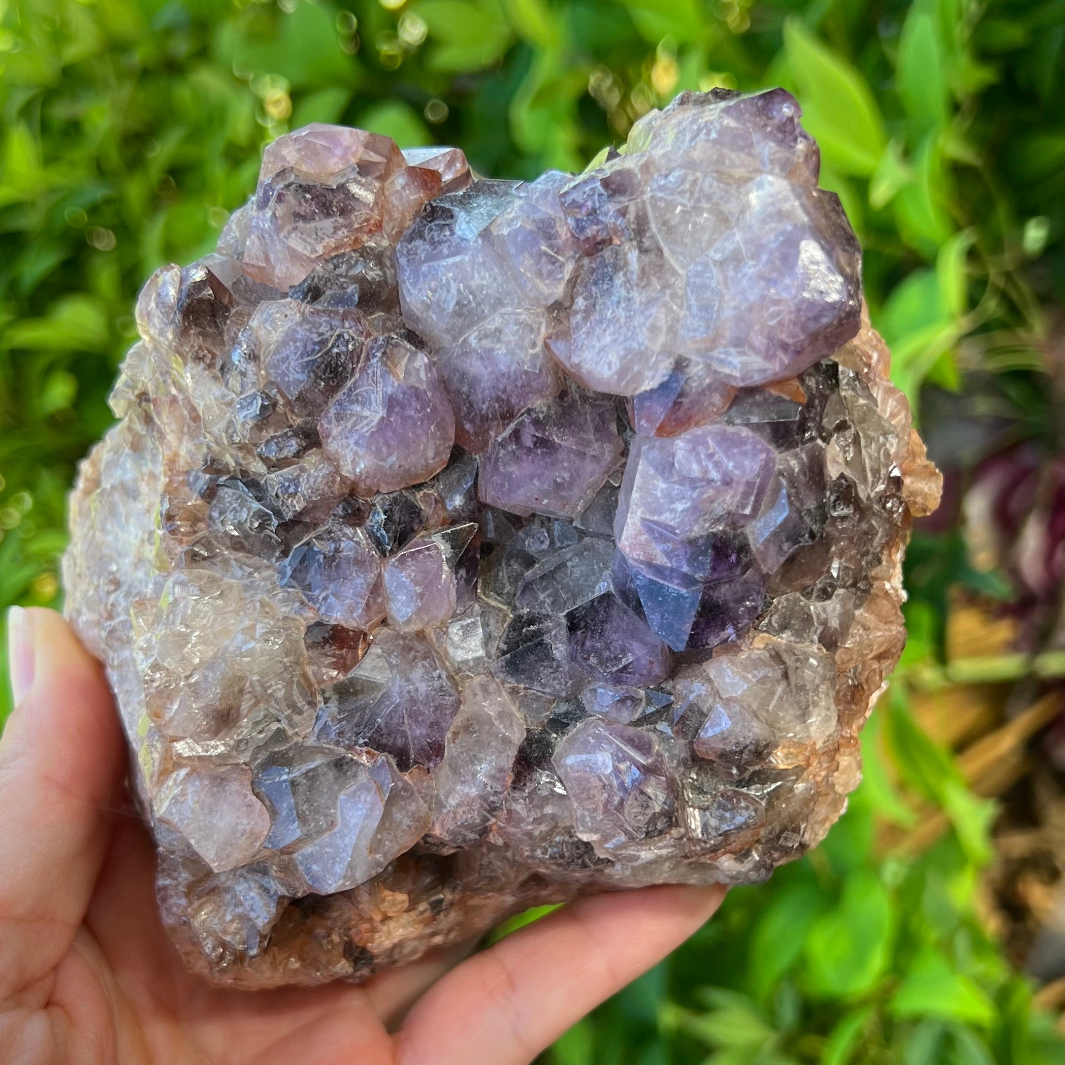 Amethyst Cluster