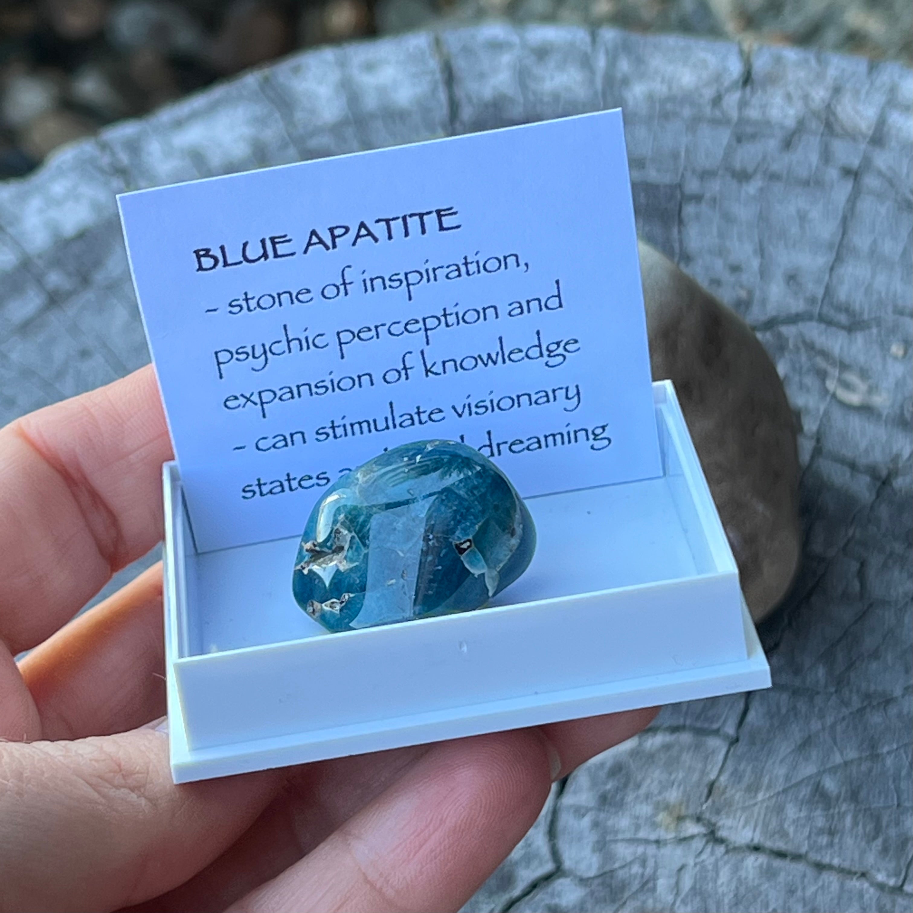 Blue Apatite ~ Specialty Boxed Crystal