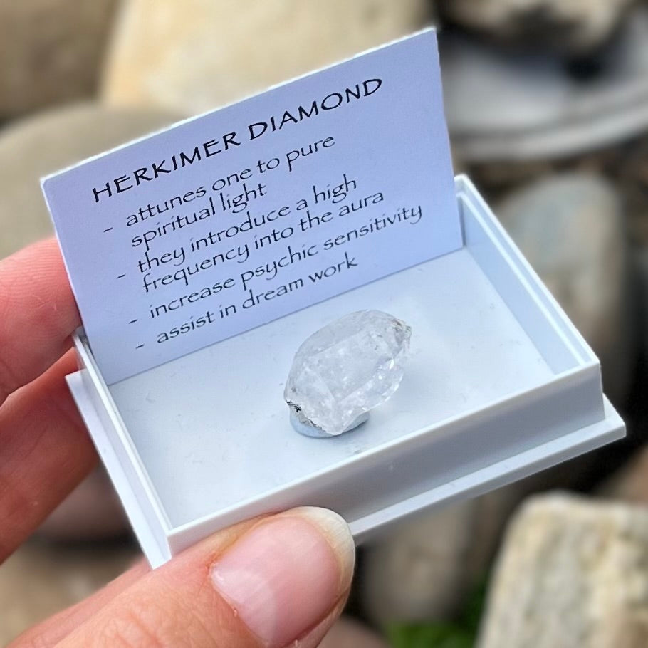 Herkimer Diamond ~ Specialty Boxed Crystal