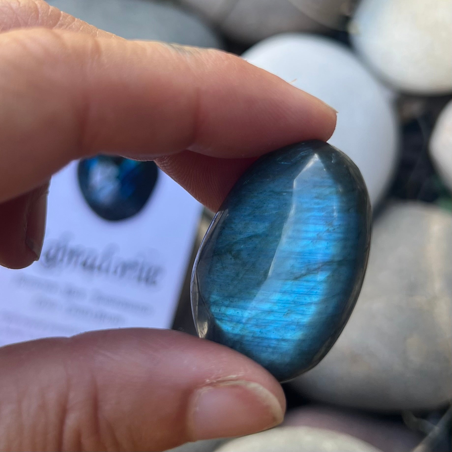 Labradorite ~ Specialty Boxed Crystal ~ 1