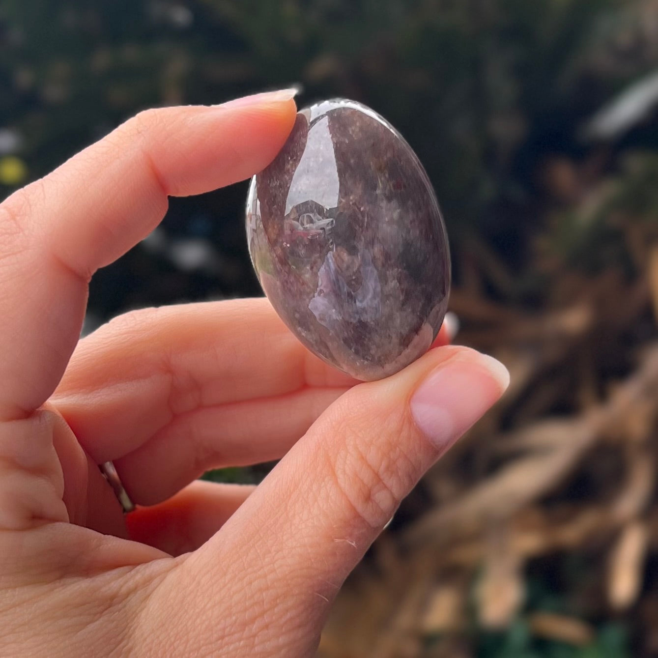 Ametrine  ~ Specialty Boxed Crystal ~ 8