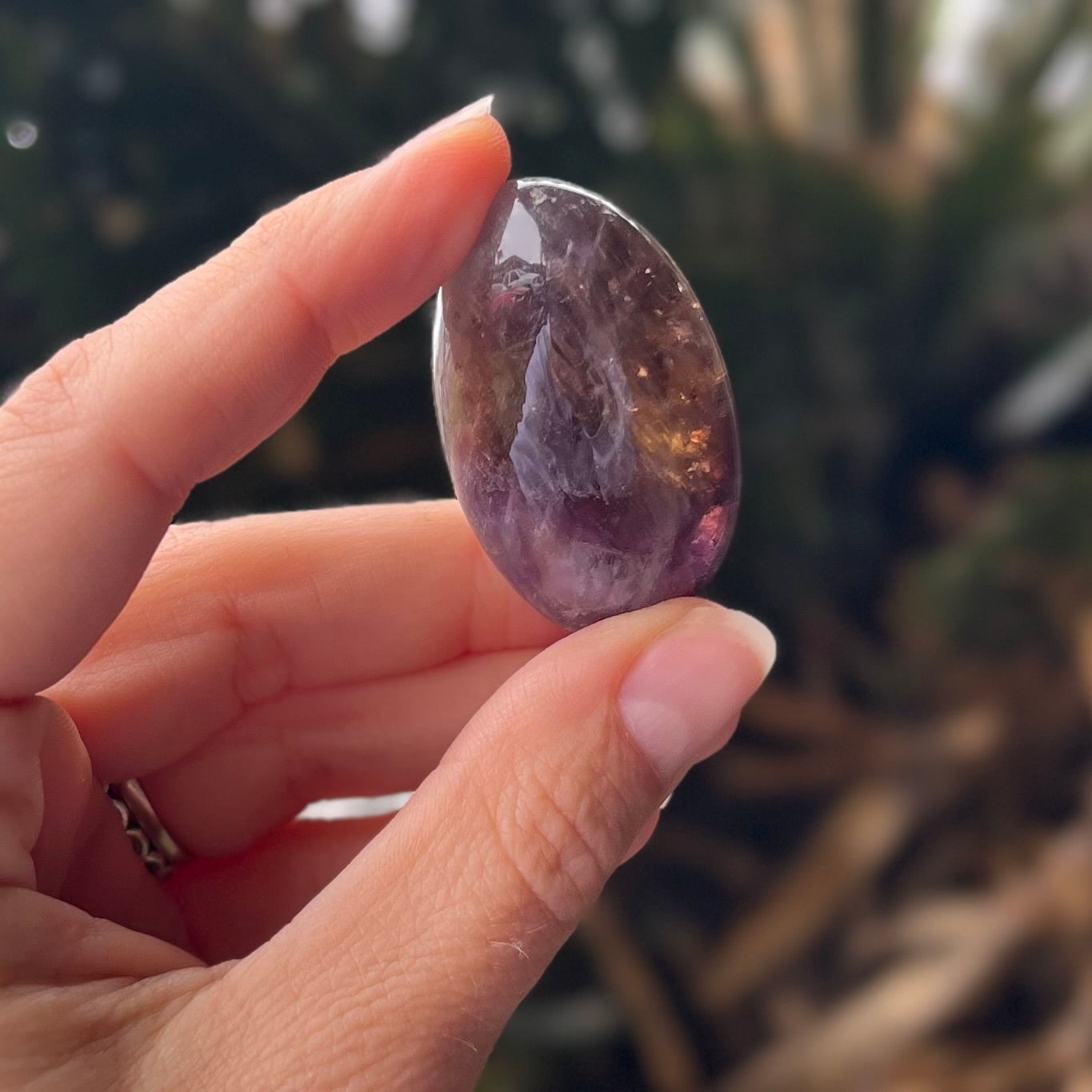 Ametrine  ~ Specialty Boxed Crystal ~ 10