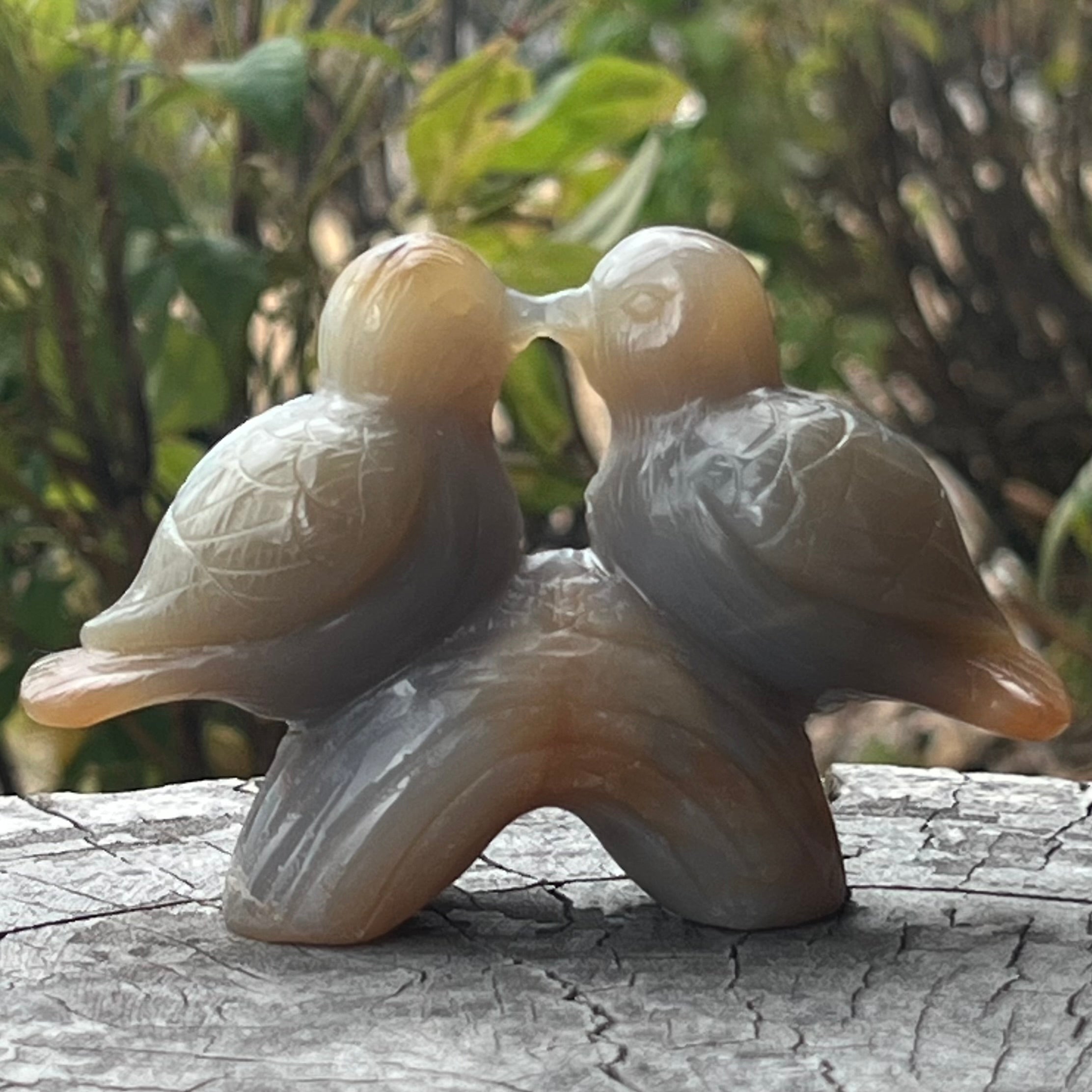 Love Birds Carving ~ Agate