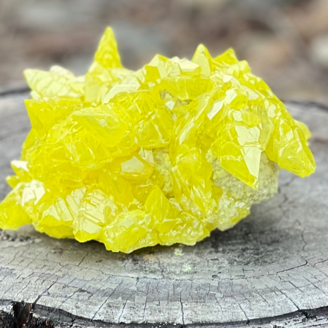 Sulphur Cluster Large