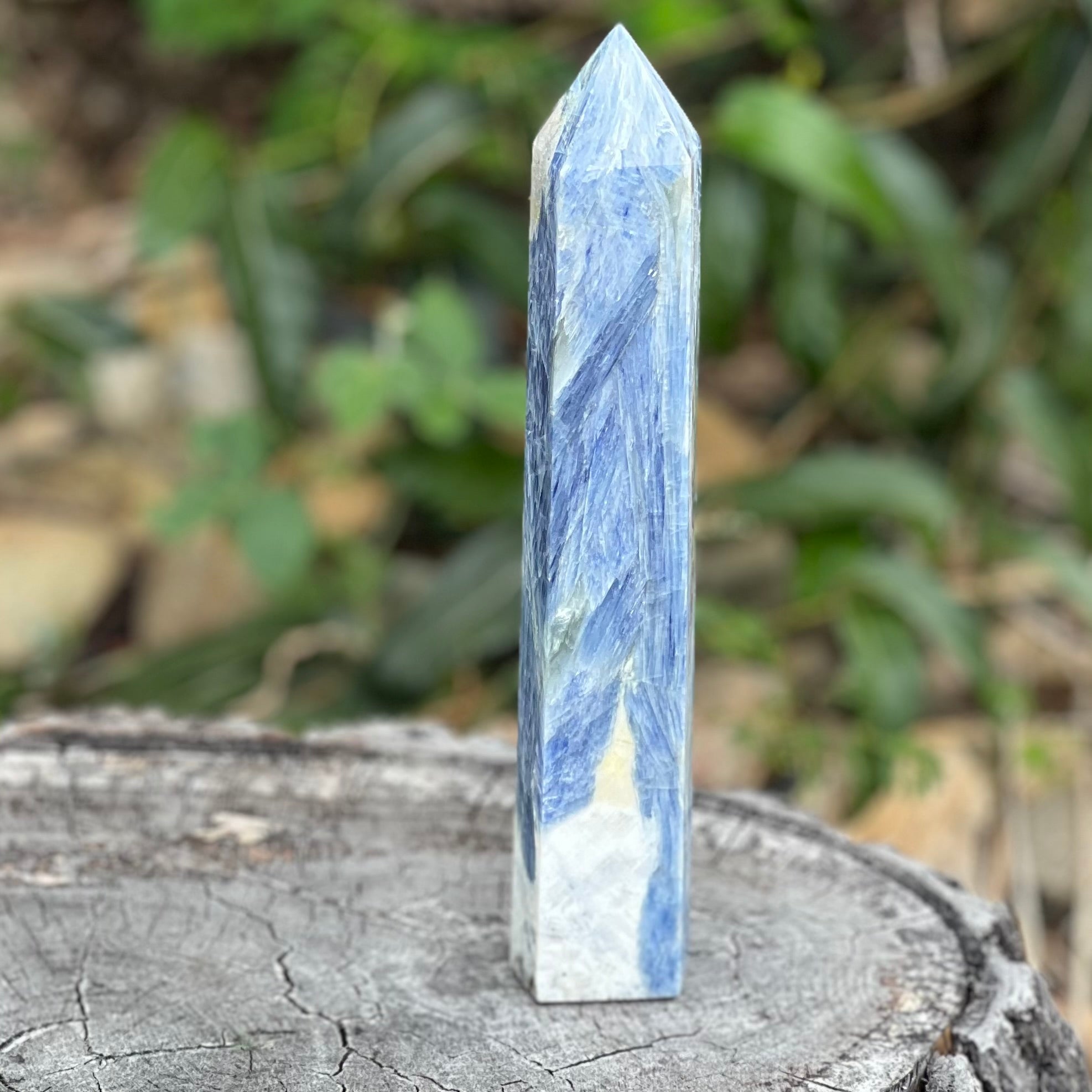 Blue Kyanite in Quartz Tower with Wing Inclusion