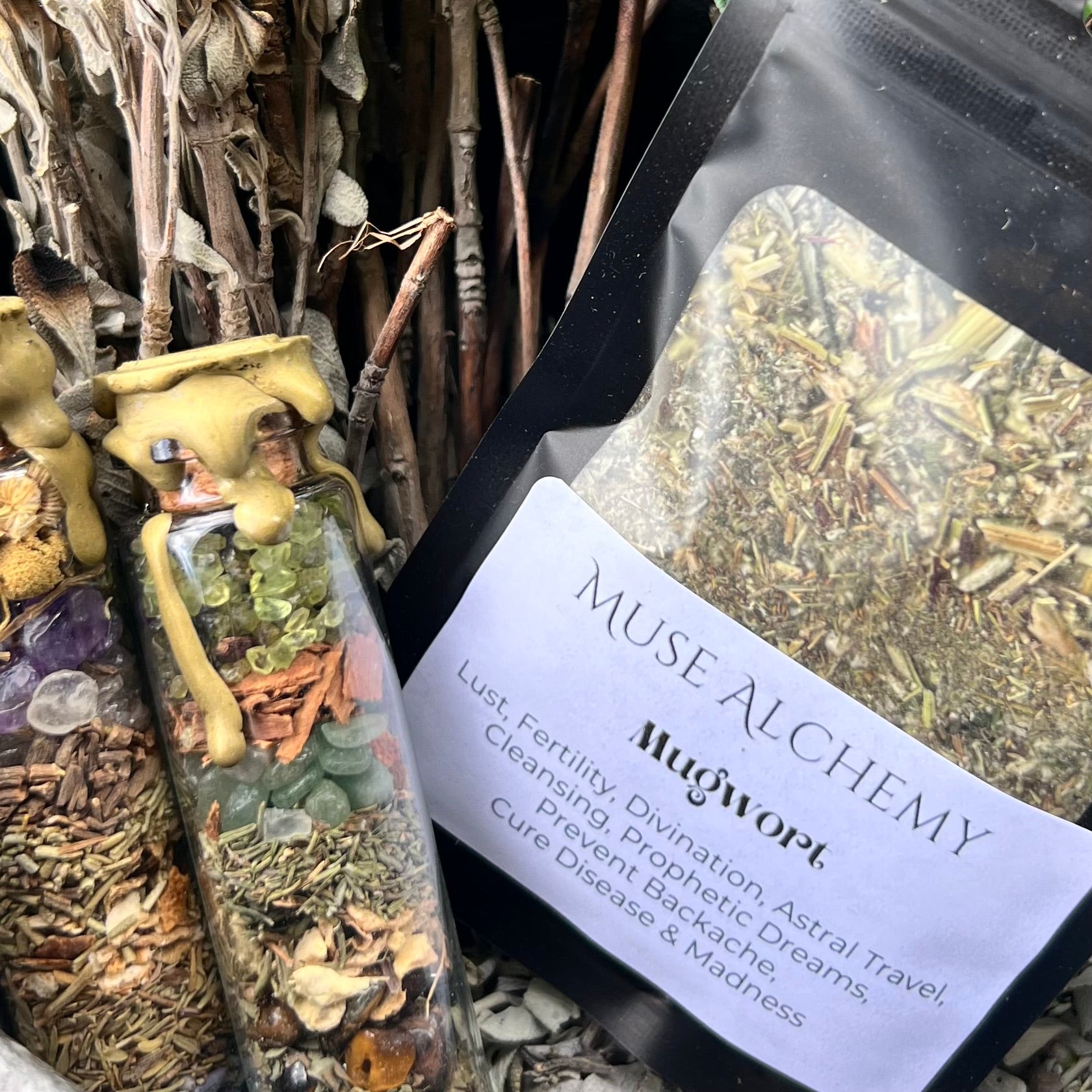 Mugwort ~ Muse Alchemy Botanicals