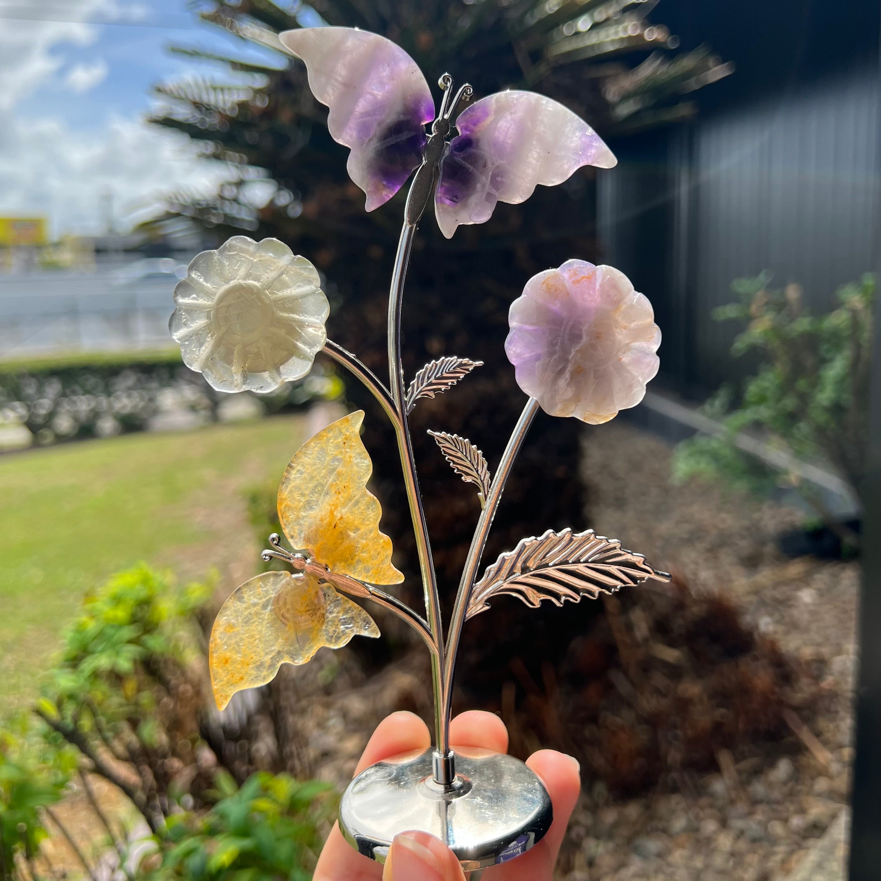 Crystal Garden Butterfly Display