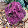 Glorious Ruby with Pyrite Specimen