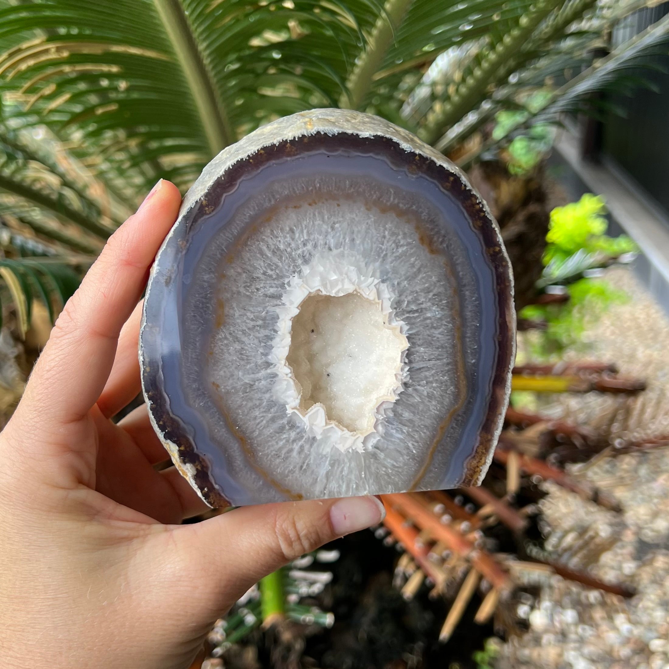 Agate Geode Druzy Slice