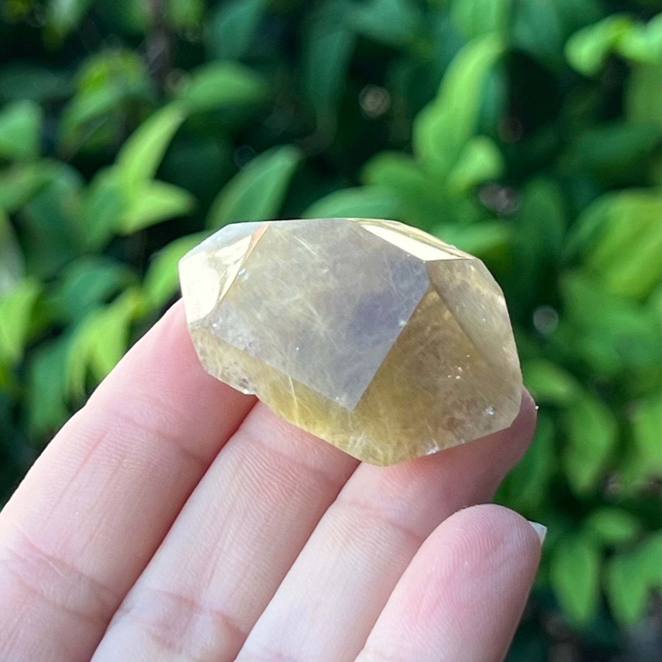 Rutilated Quartz ~ Specialty Boxed Crystal