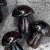 Garnet Mushrooms