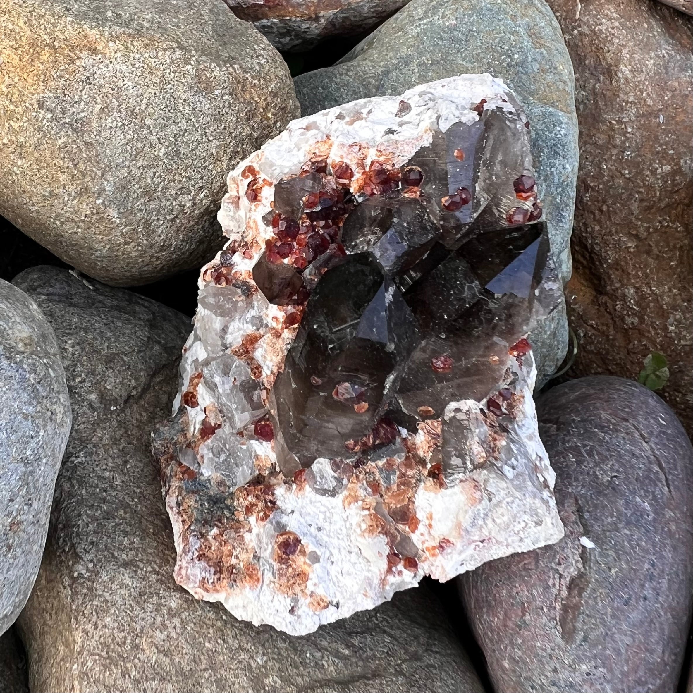Raw Garnet & Smokey Quartz Points on Matrix ~ Specialty Crystal