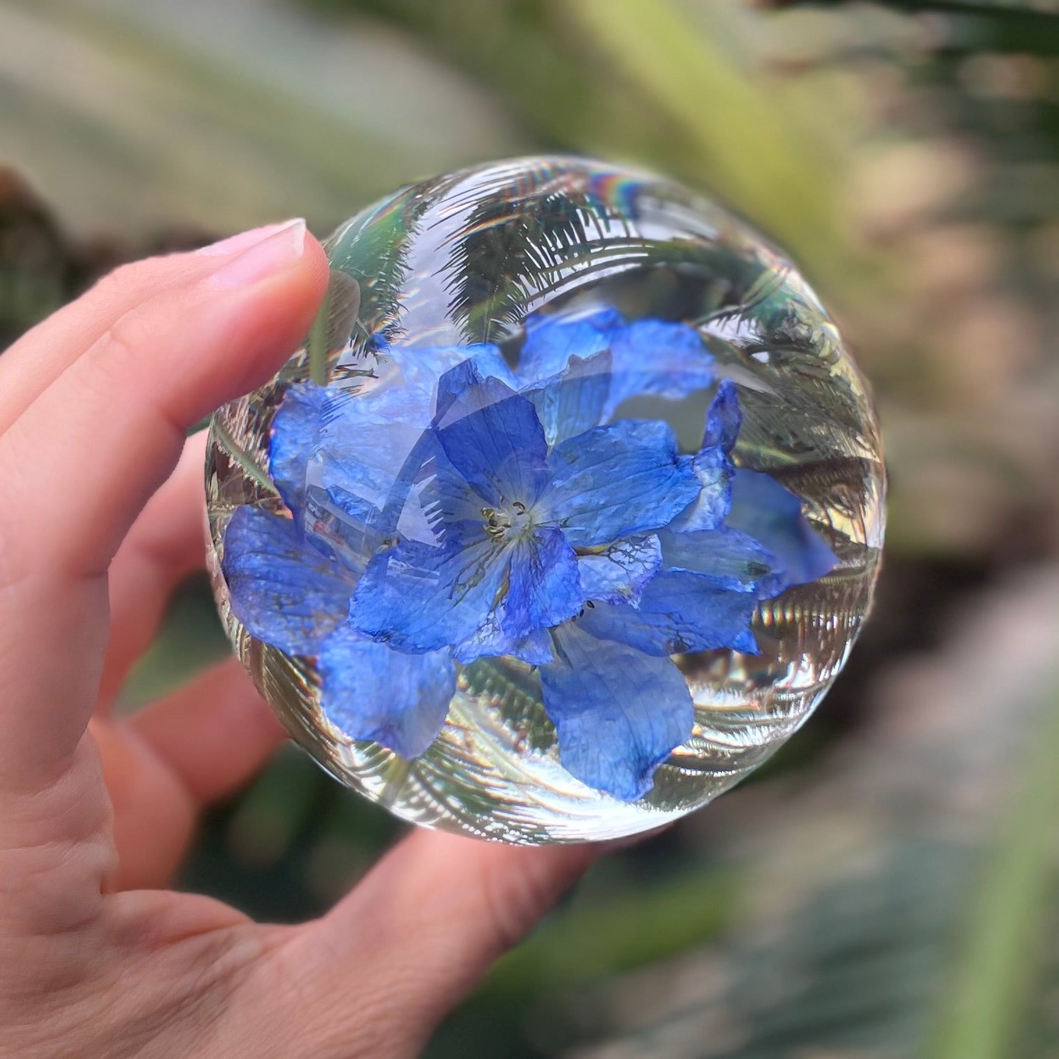 Sphère de fleur éternelle d'hortensia bleu