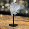 Tantric Family Clear Quartz ~ The Crystal of Soul Connection