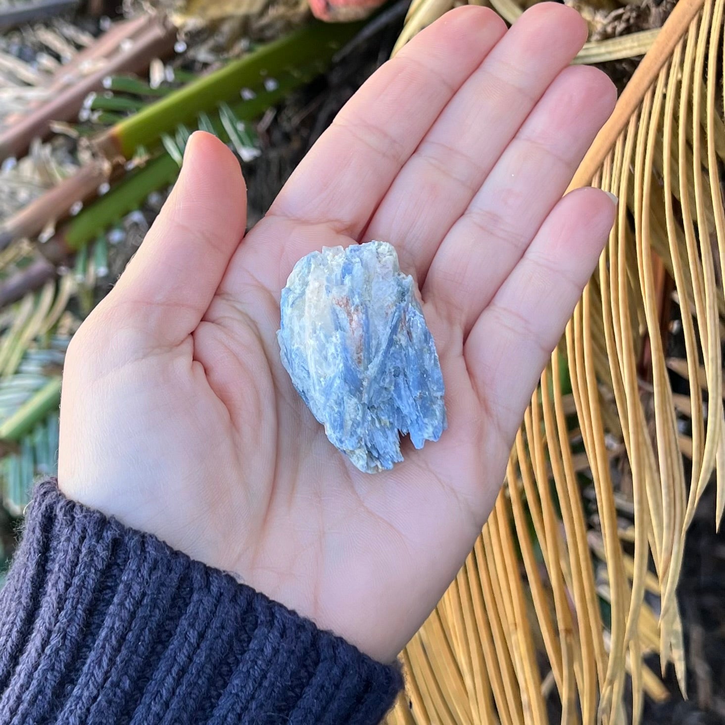 Blue Kyanite Specialty Crystal