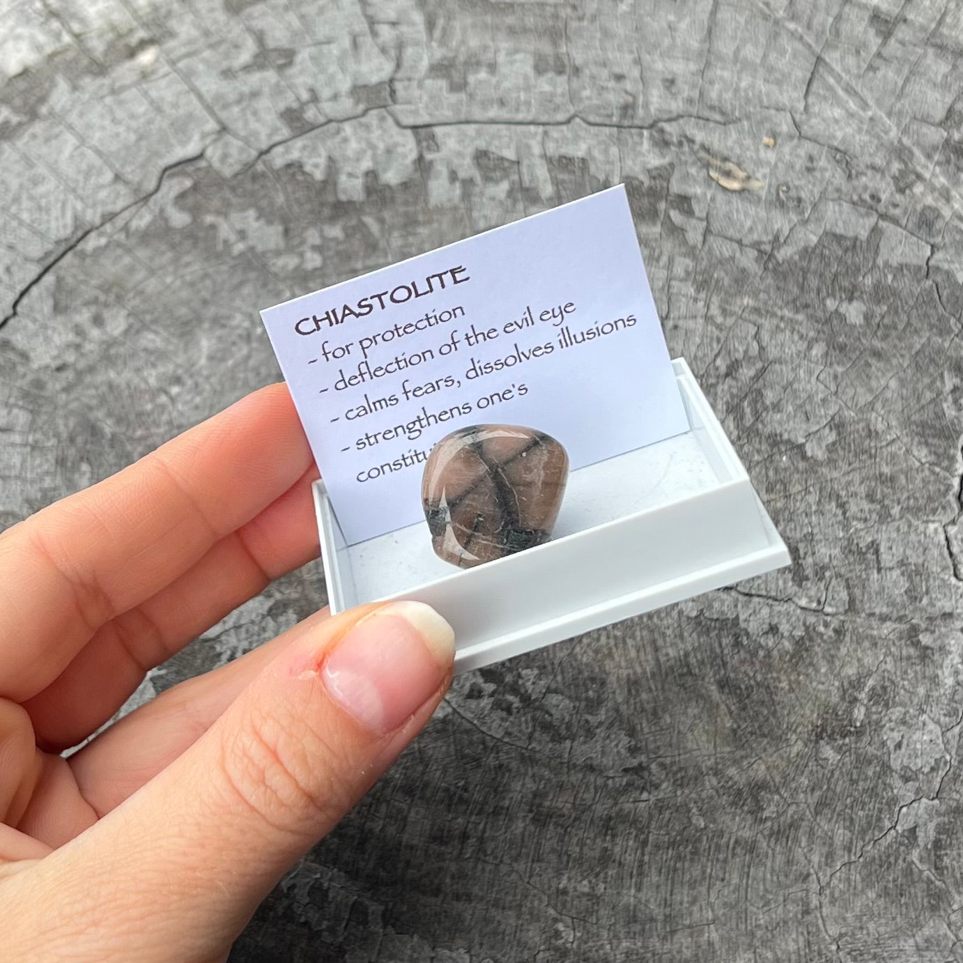 Chiastolite ~ Specialty Boxed Crystal