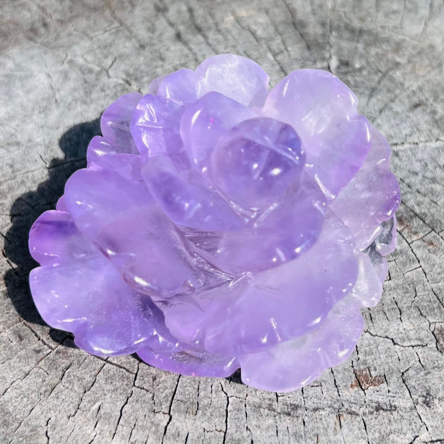 Purple Fluorite Rose