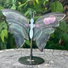 Rainbow Fluorite Butterfly