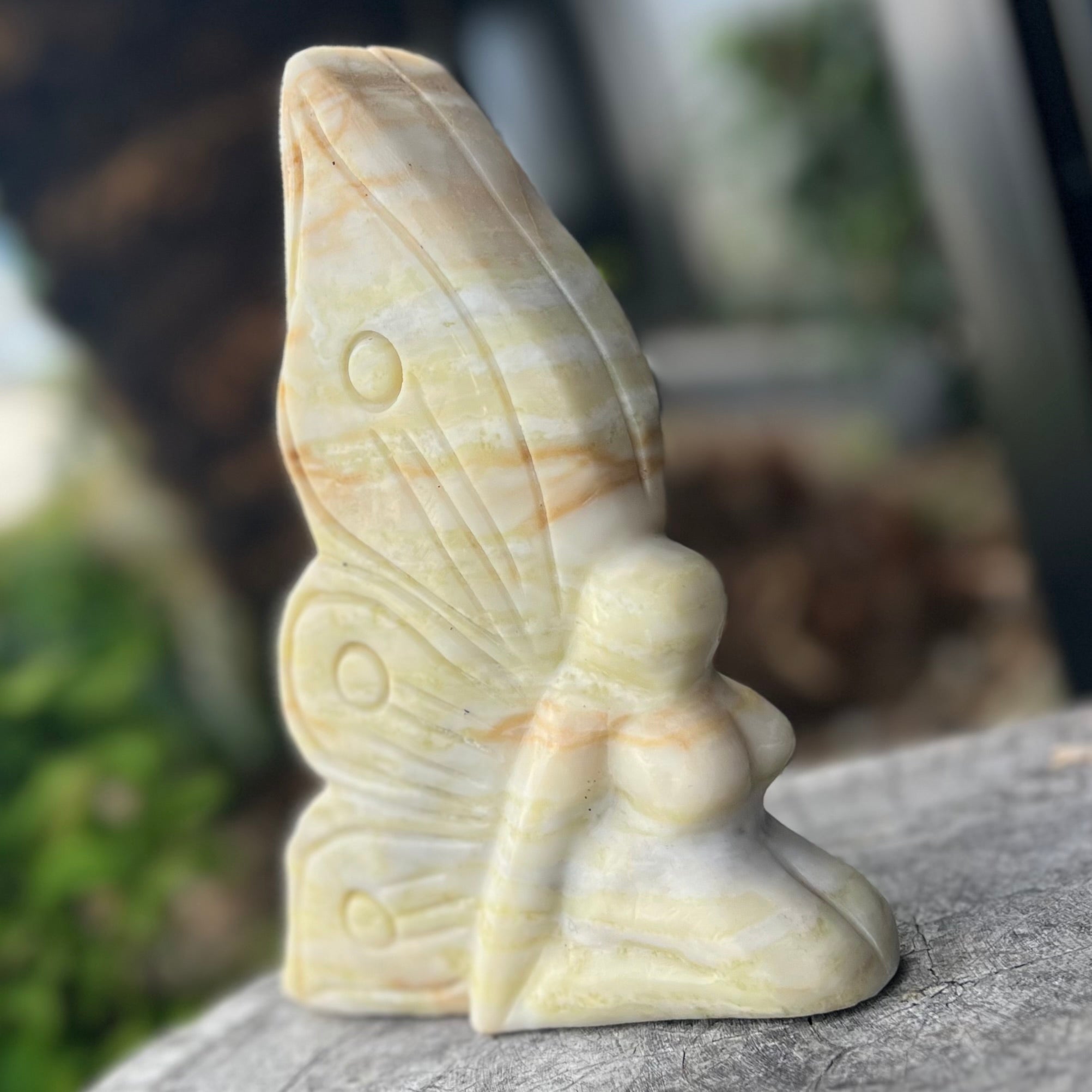 Afghanistan Jade Butterfly Carving