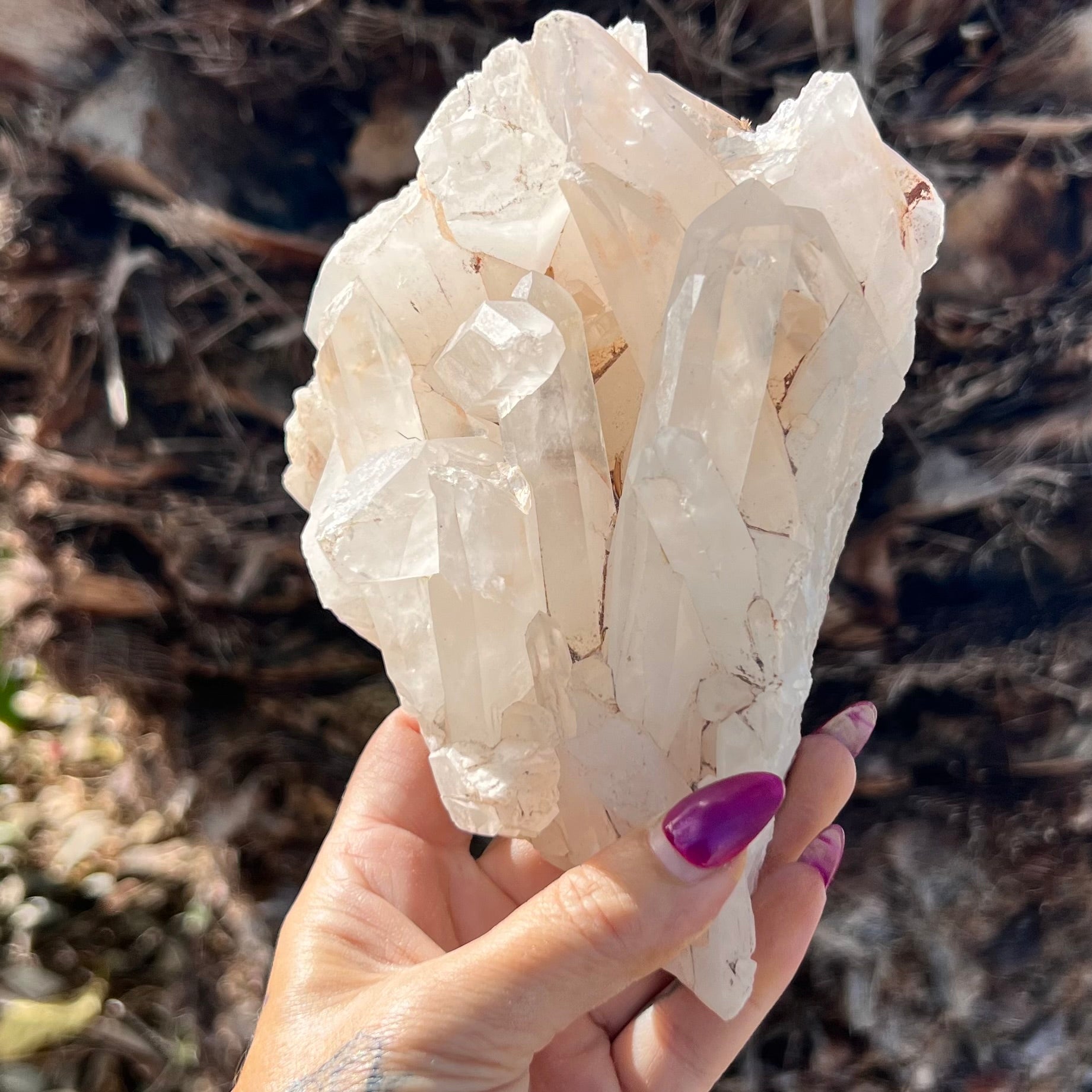 Spiritual Journey ~ Madagascar Quartz Cluster