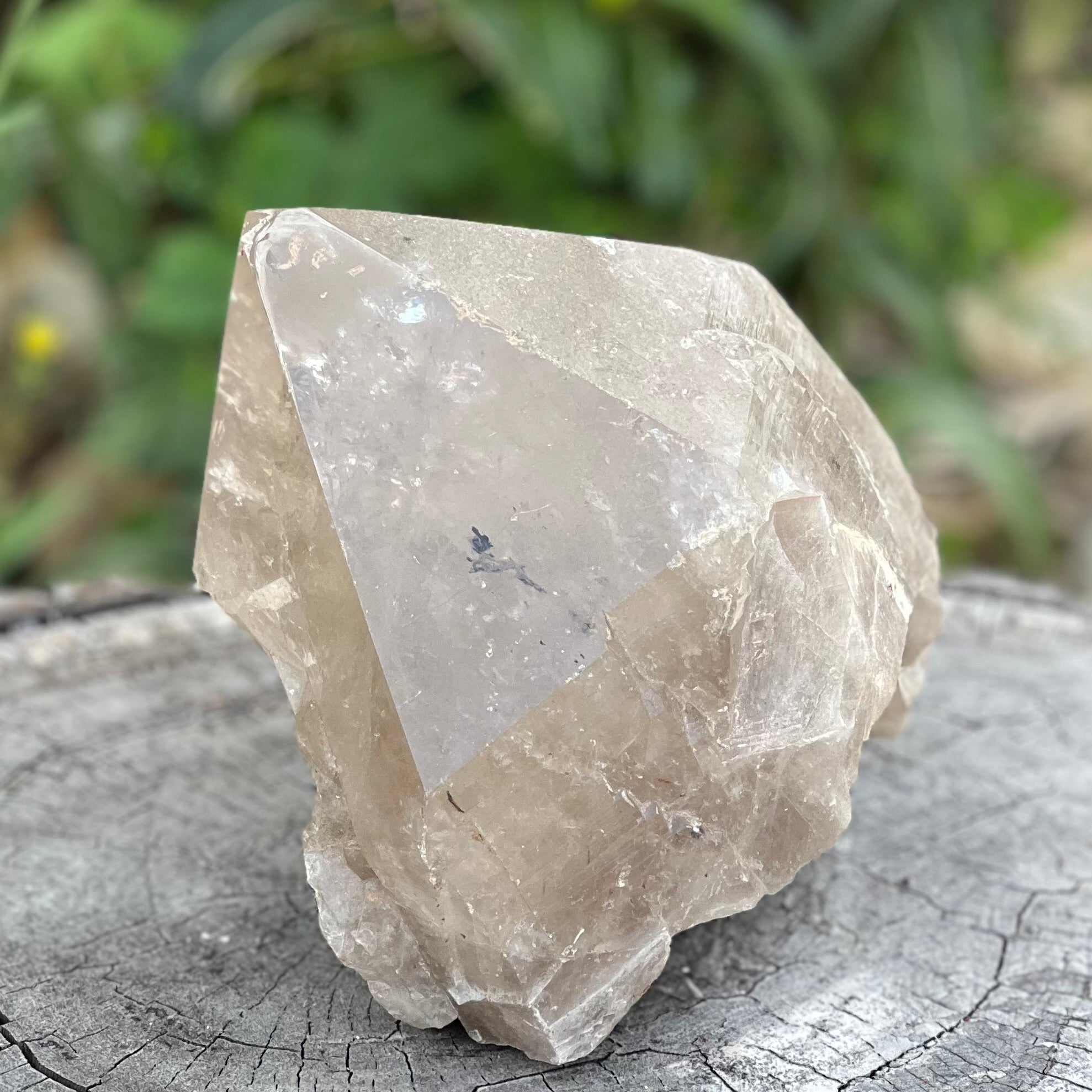 Smokey Quartz Natural Raw Point