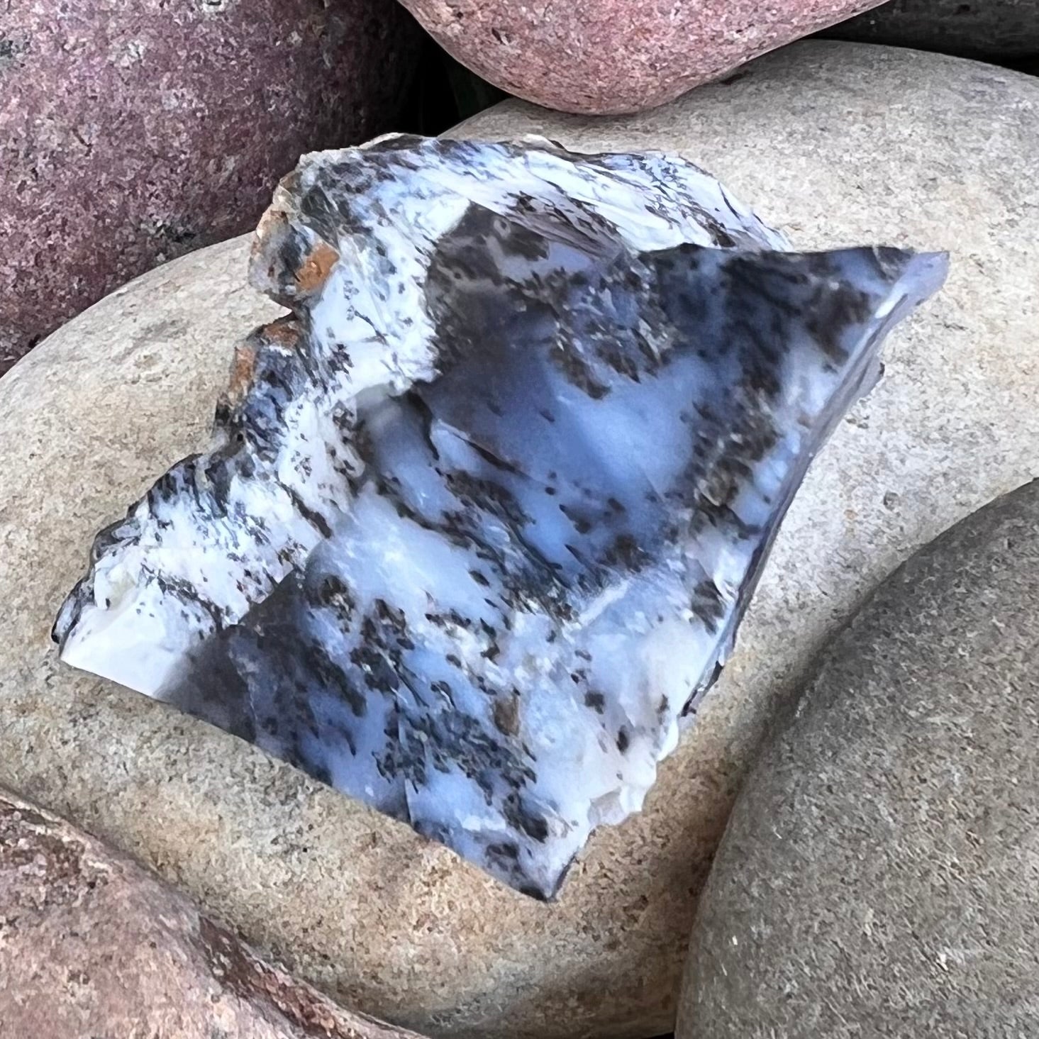 Raw Dendritic Opal ~ Specialty Crystal