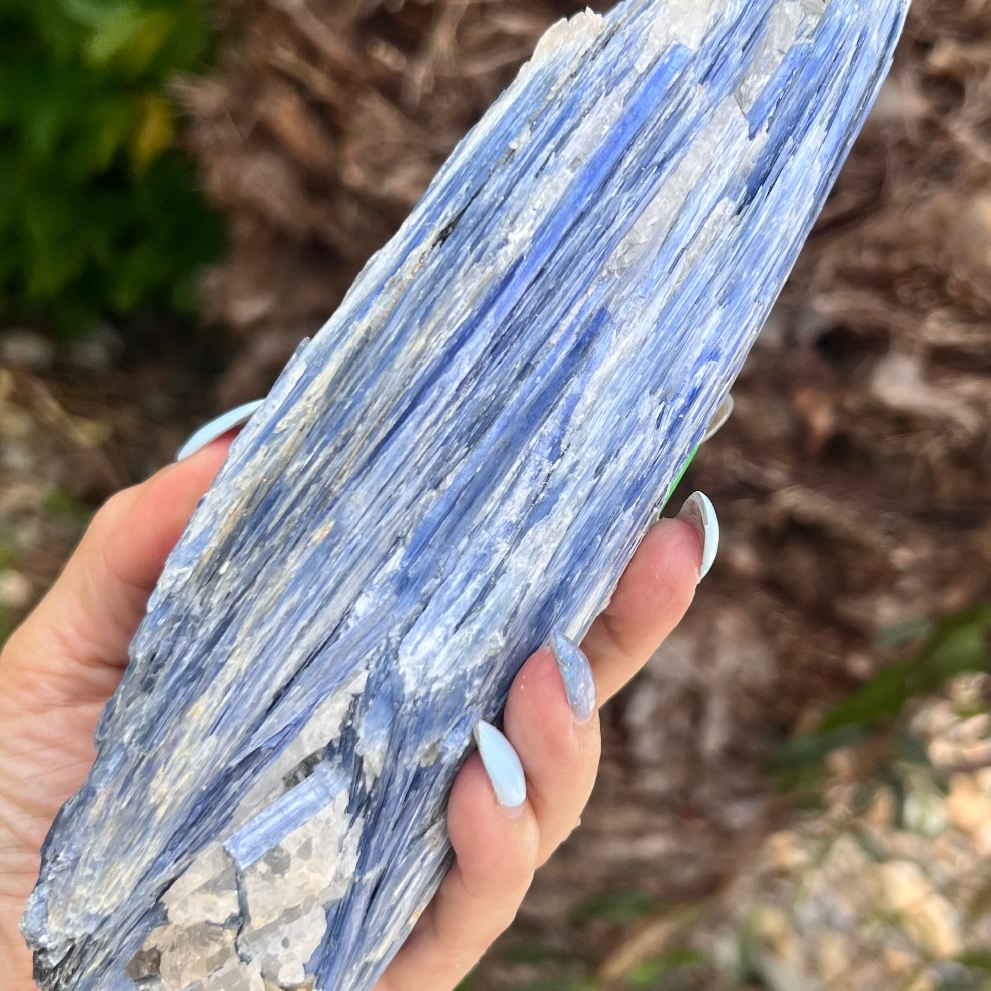 Natural Blue Kyanite with Quartz