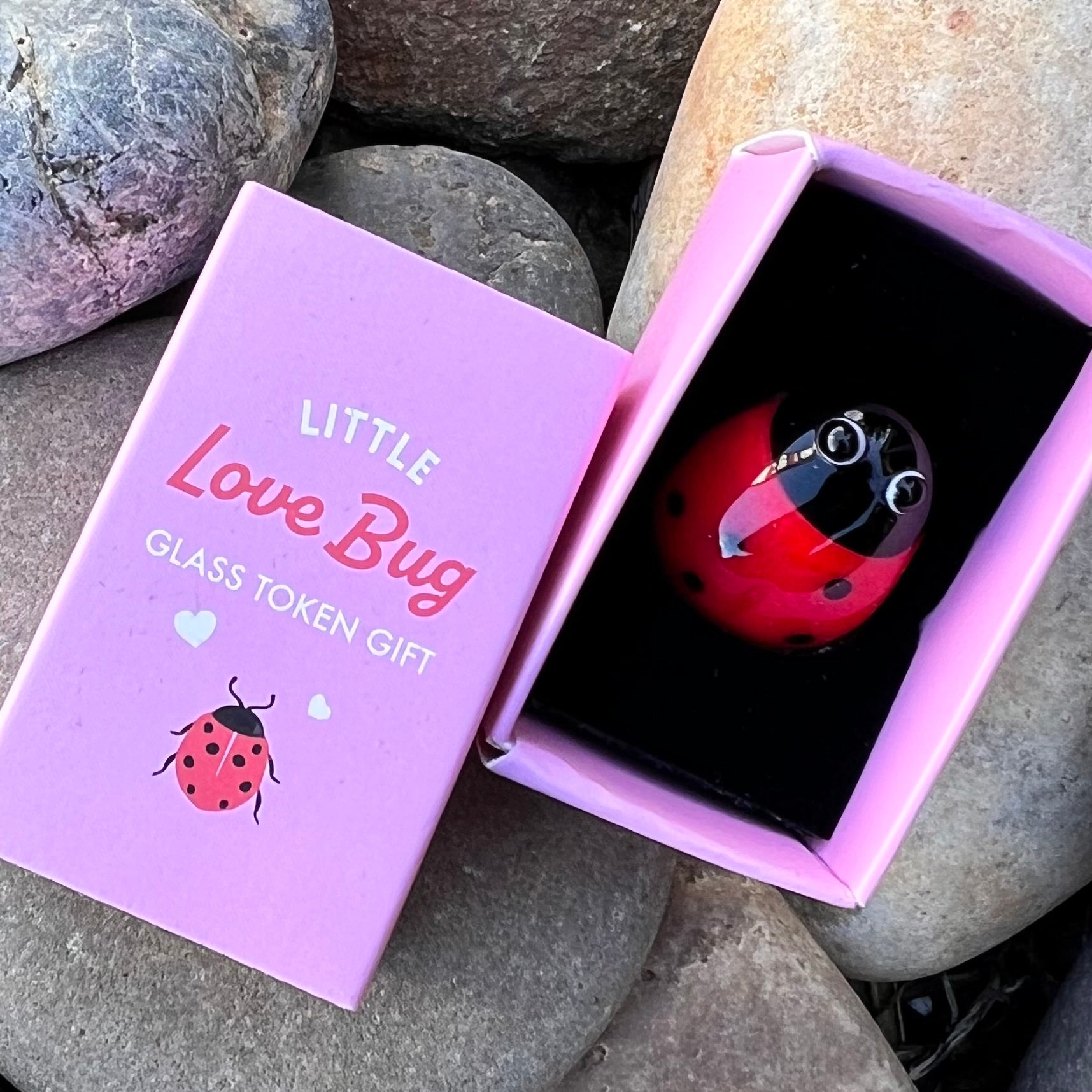 Little Love Bug ~ In Box