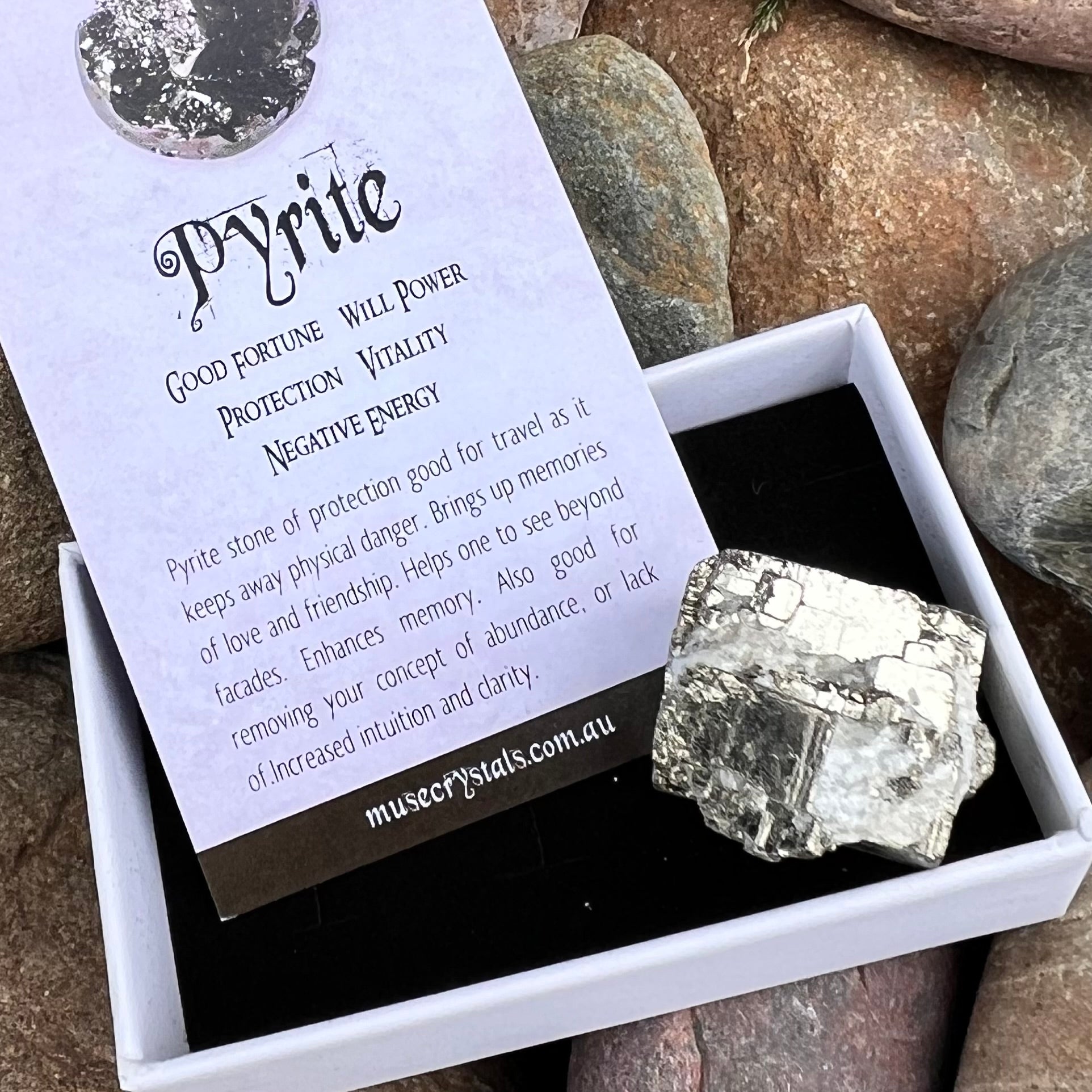 Pyrite Specimen ~ Specialty Boxed Crystal (1)
