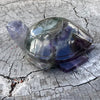 Rainbow Fluorite Turtle Carving