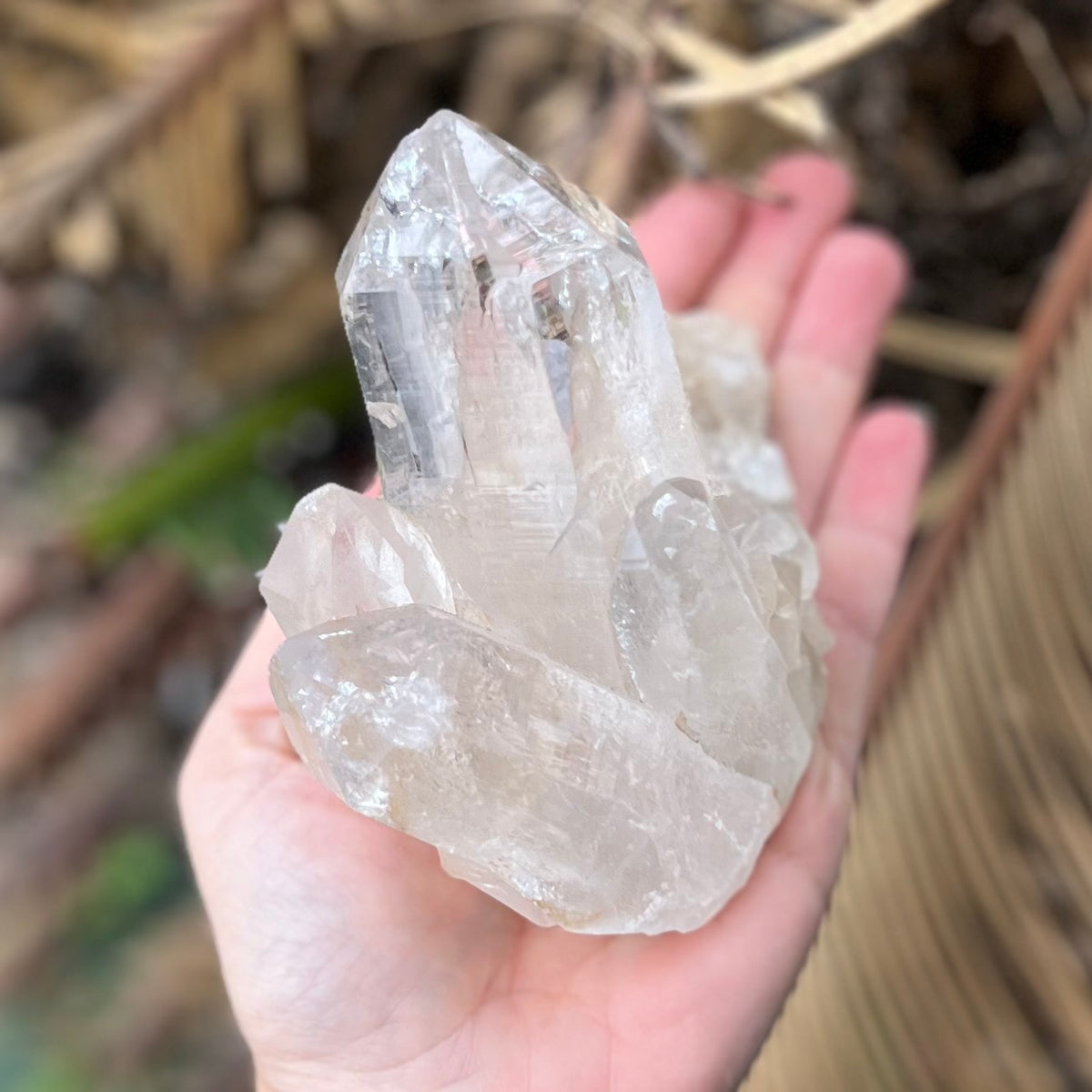 Clear Quartz Cluster