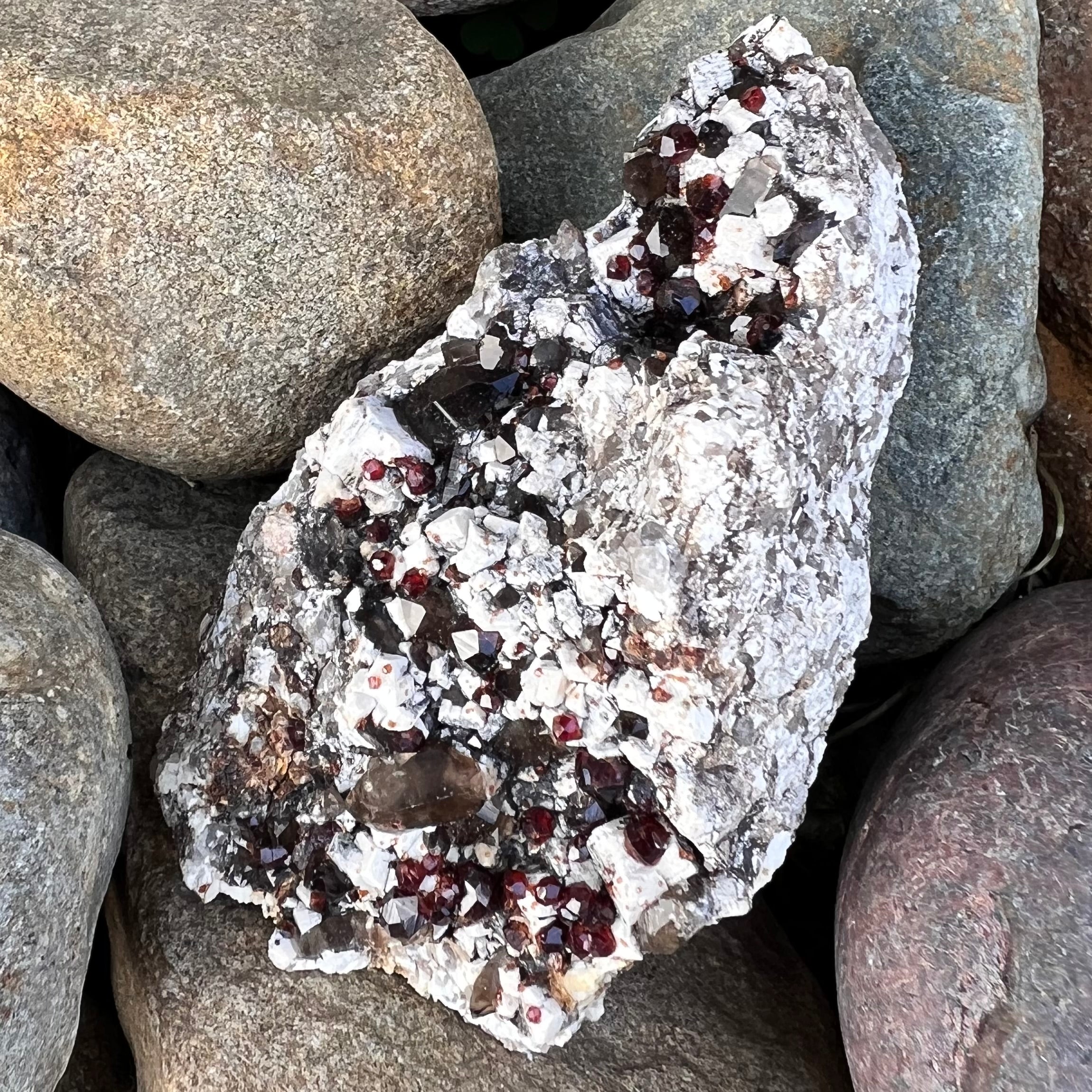 Raw Garnet & Smokey Quartz Points on Matrix ~ Specialty Crystal