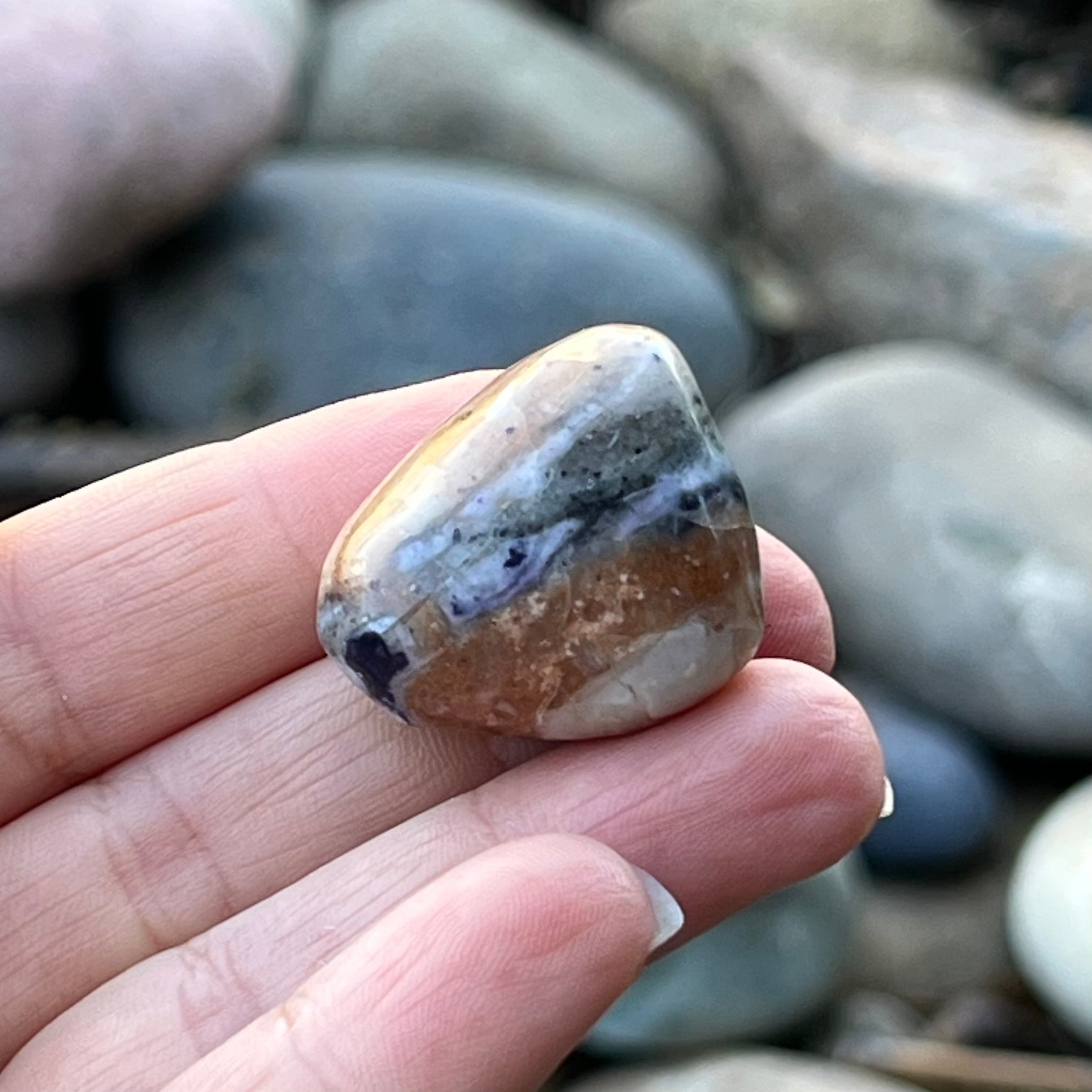 Violet Flame Opal ~ Specialty Boxed Crystal